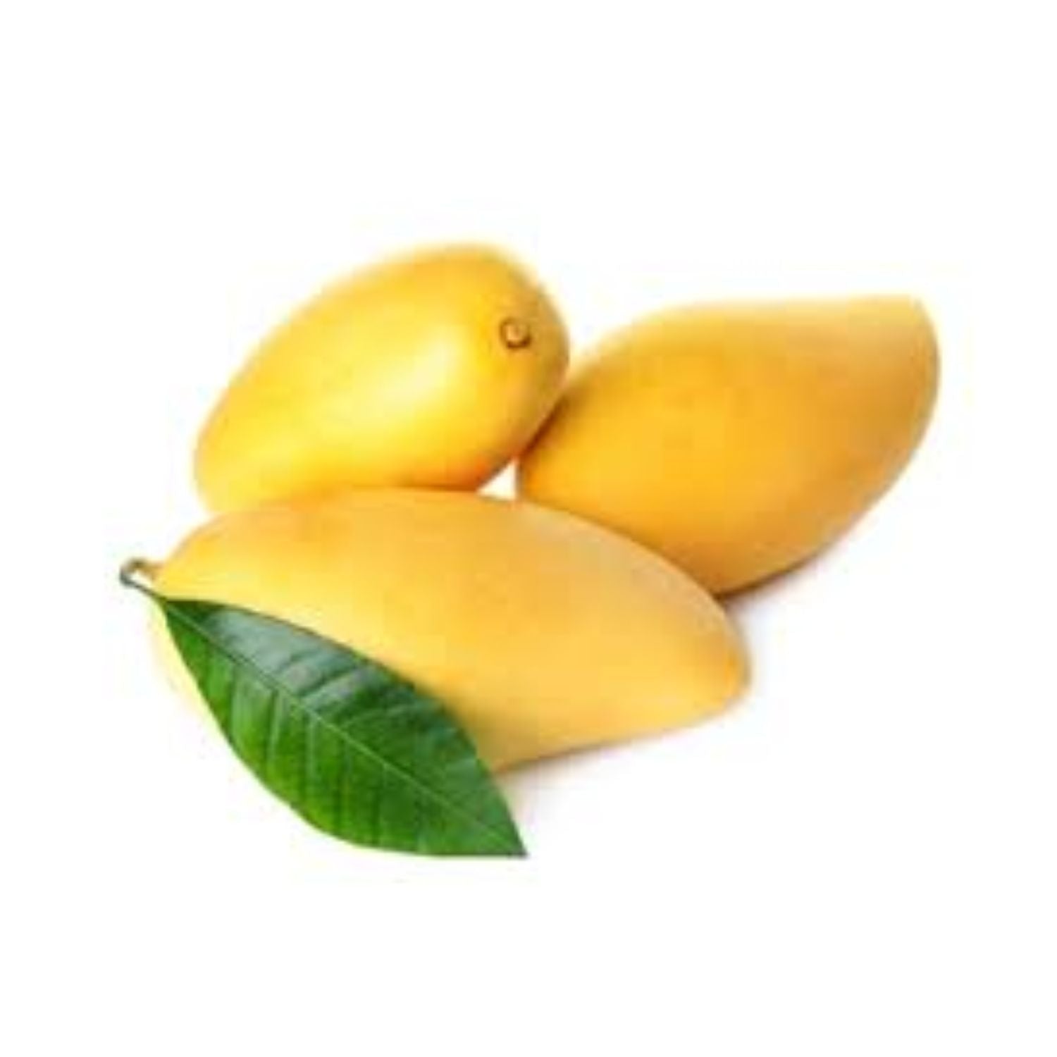 CASELOT - Mango ataulfo 16s