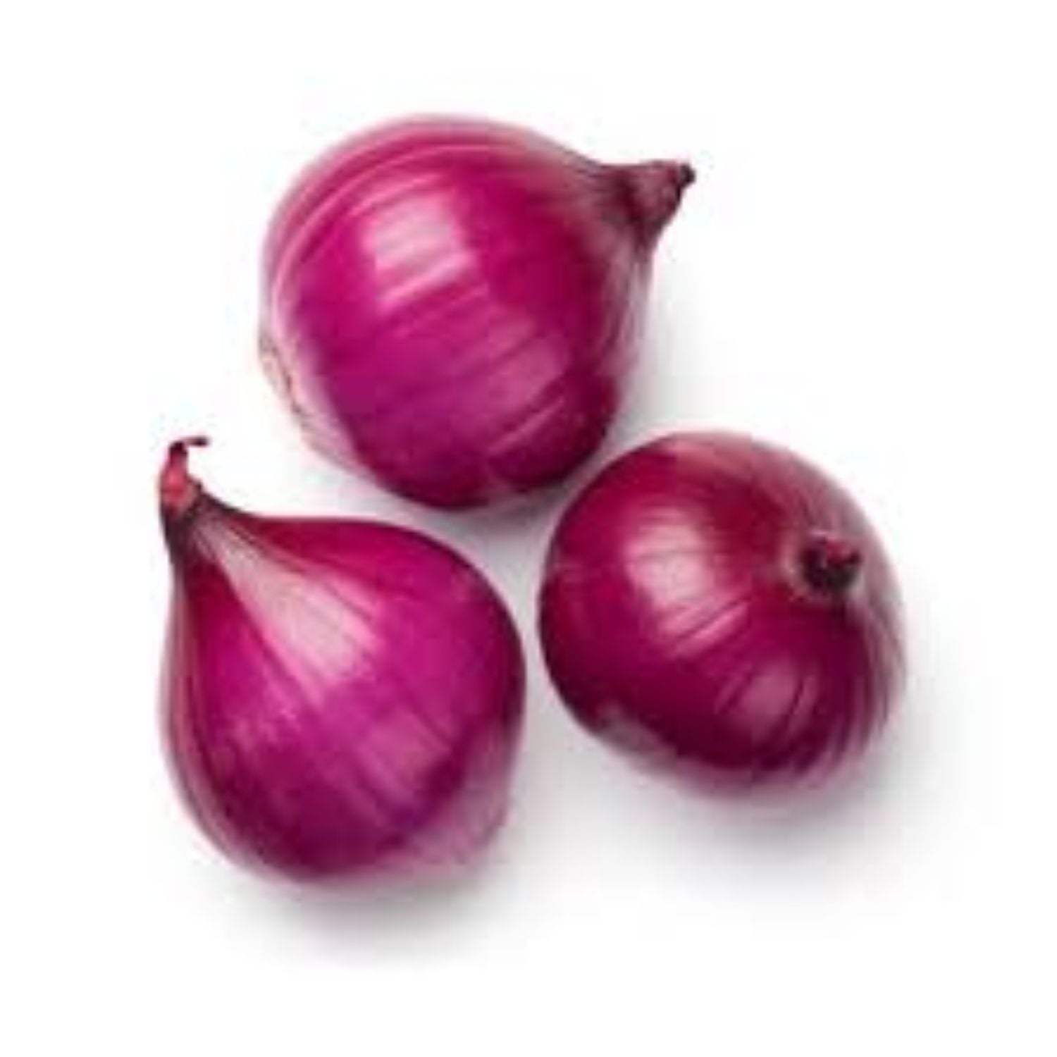 CASELOT - Onion red med 25LB