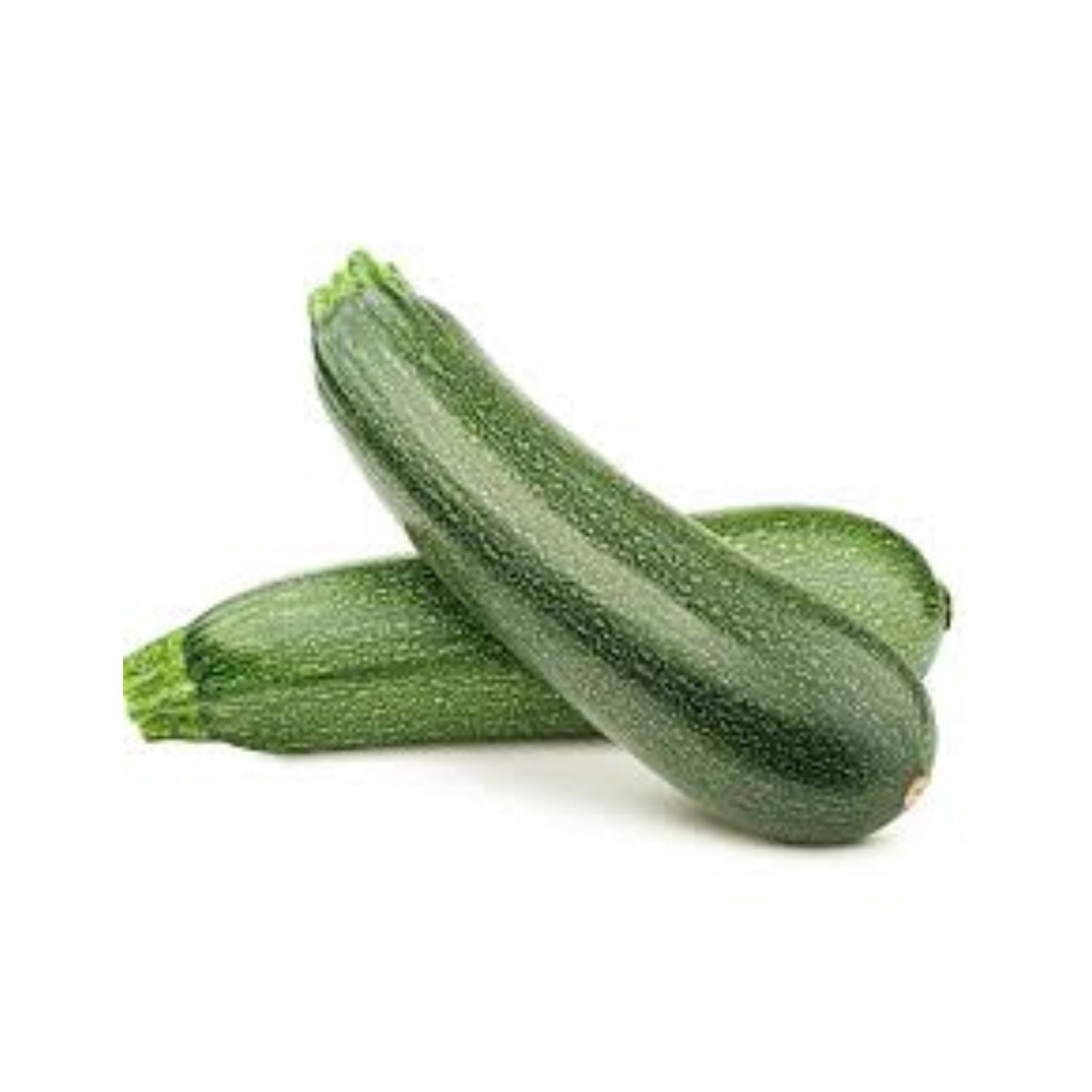 CASELOT - Squash Zucchini 25LB
