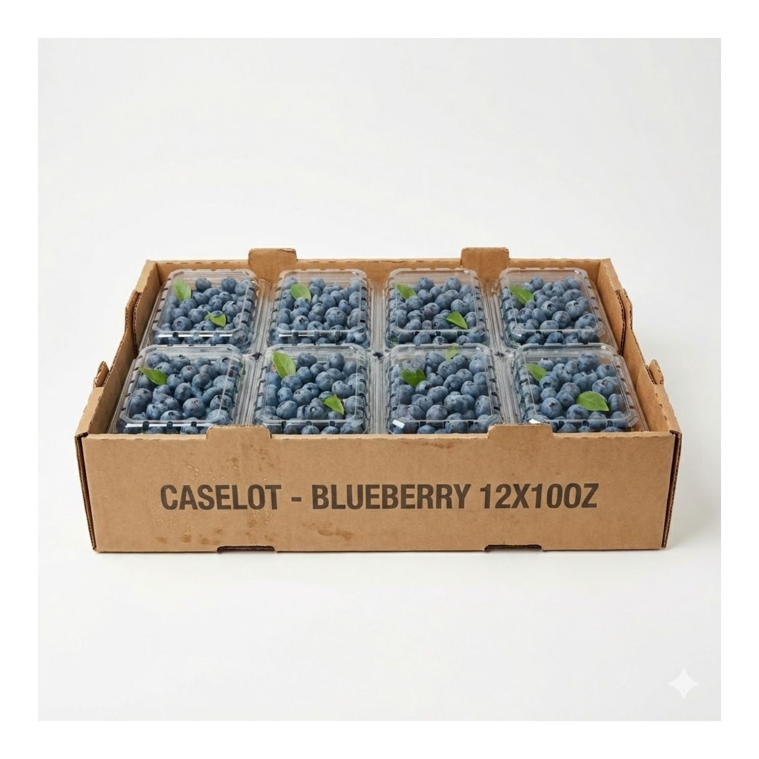 CASELOT - Blueberry 12x10oz