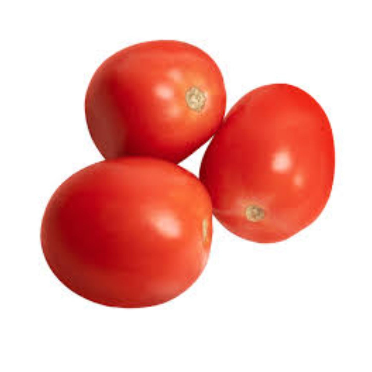 PROMO - Tomato Field LB