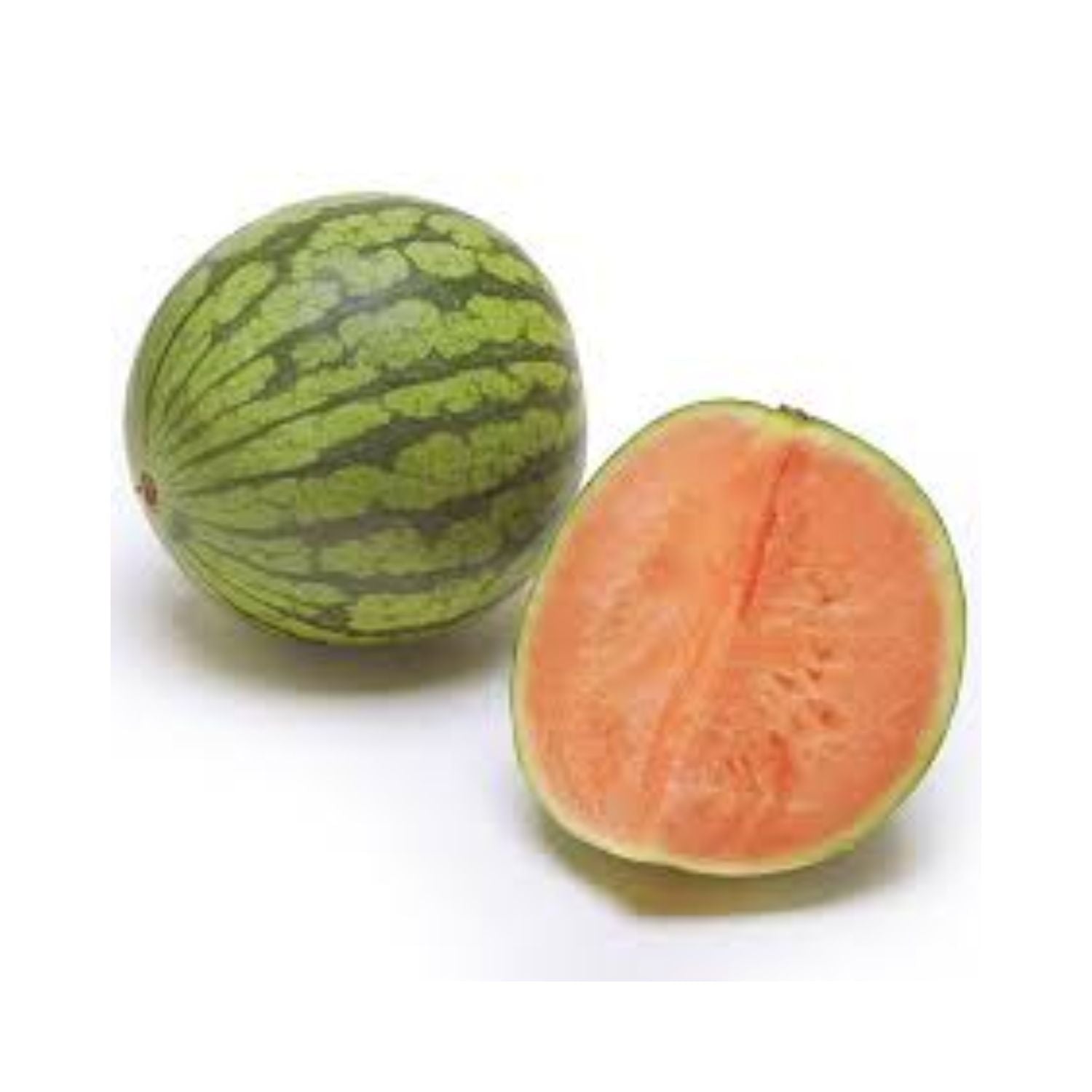 CASELOT - Watermelon Mini 11CT