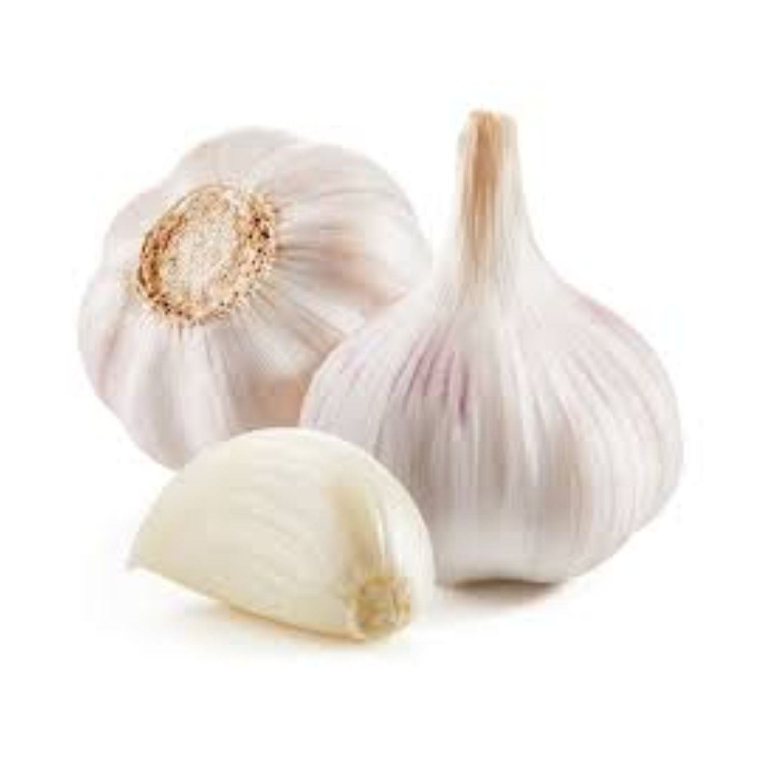 PROMO - Garlic 5ct