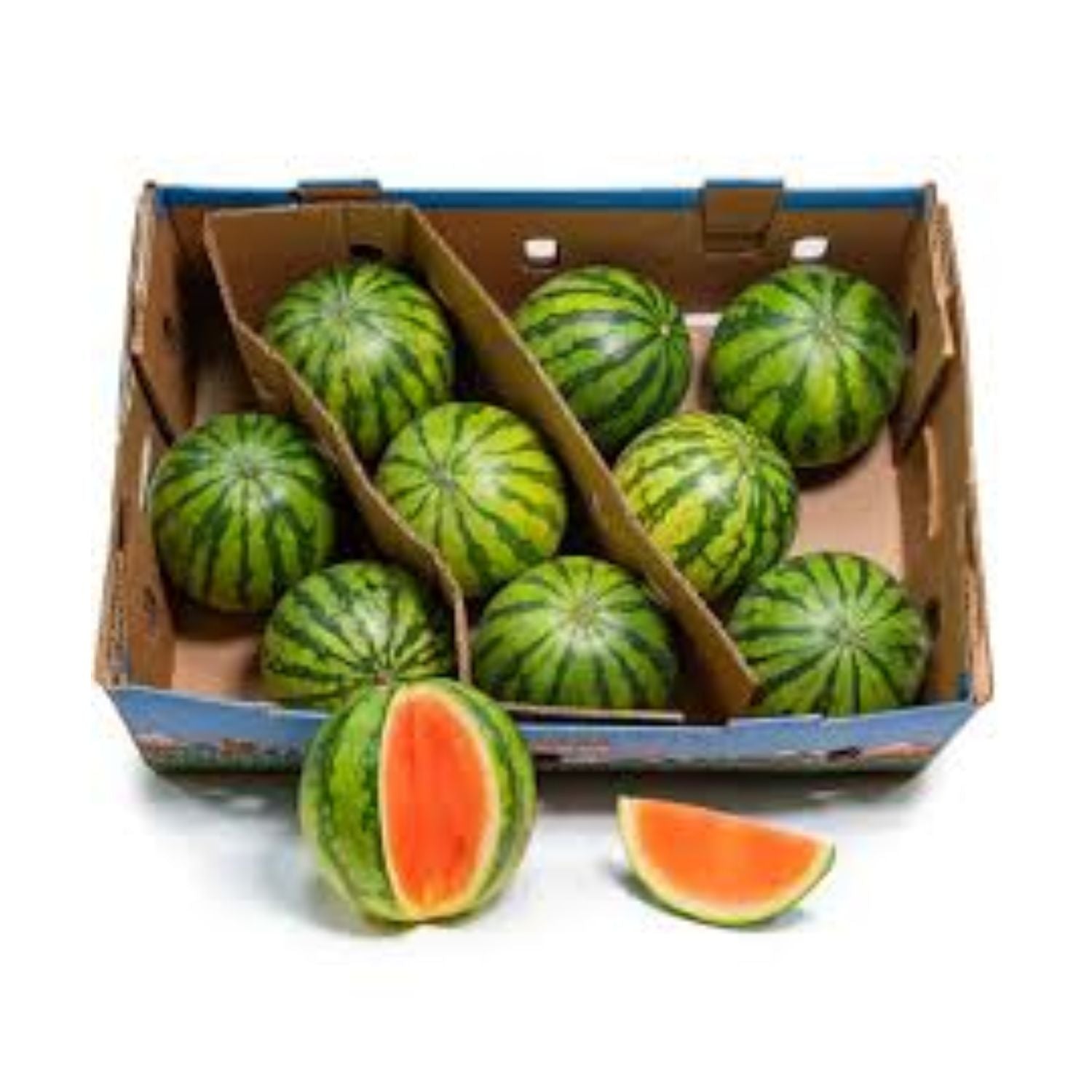 PROMO - Mini Watermelon EACH