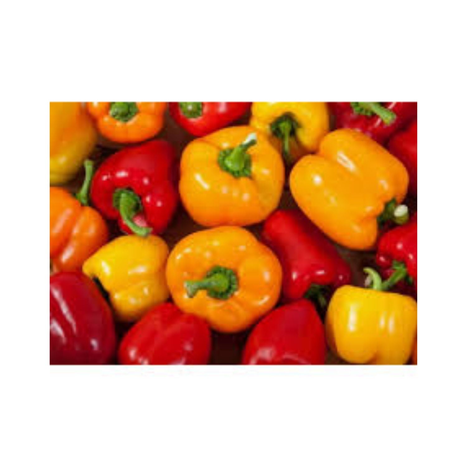 PROMO - Pepper Rainbow 2.5LB