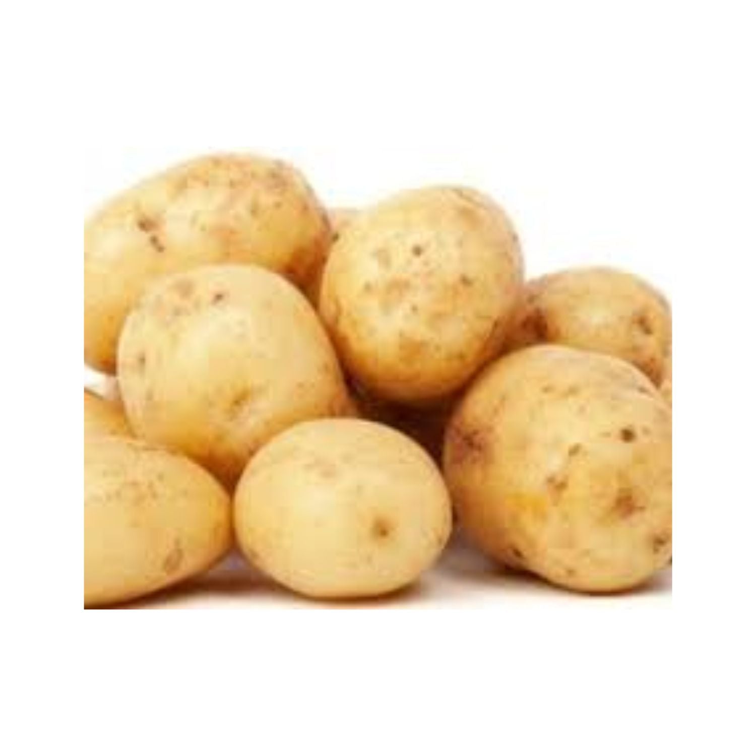 CASELOT - Potato Kennebec 50LB