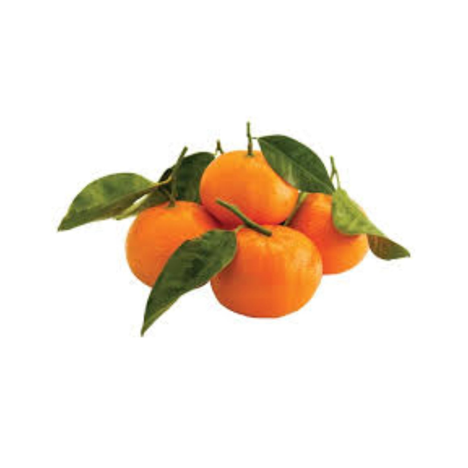 PROMO - Mandarine orri LB