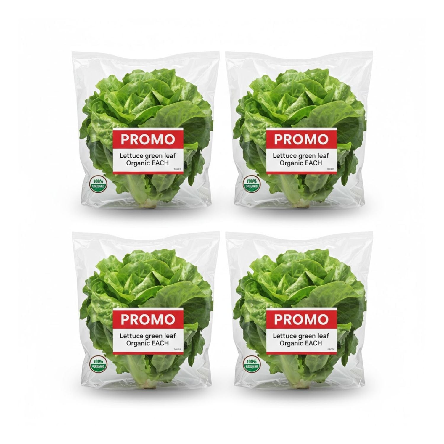 PROMO - Lettuce green leaf Organic EACH