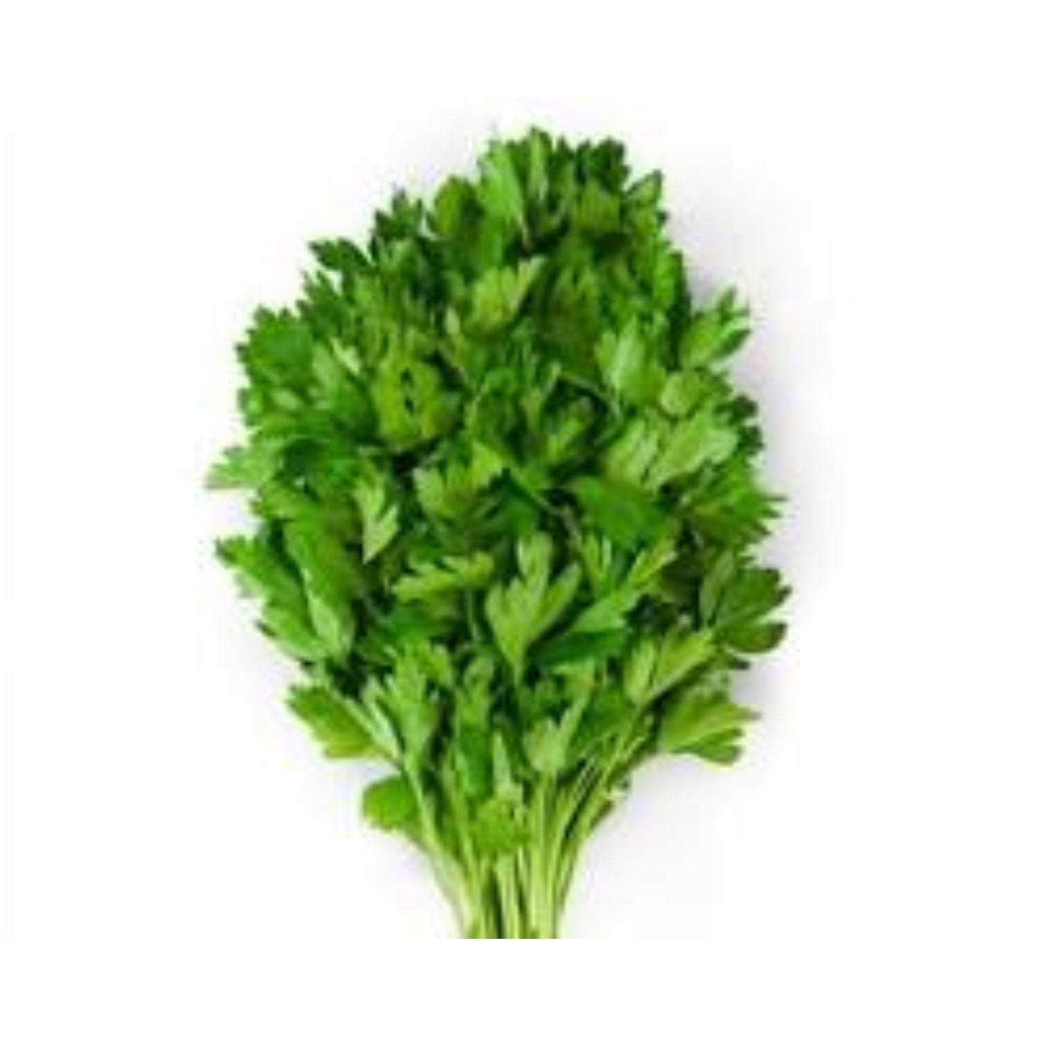 Parsley Italian