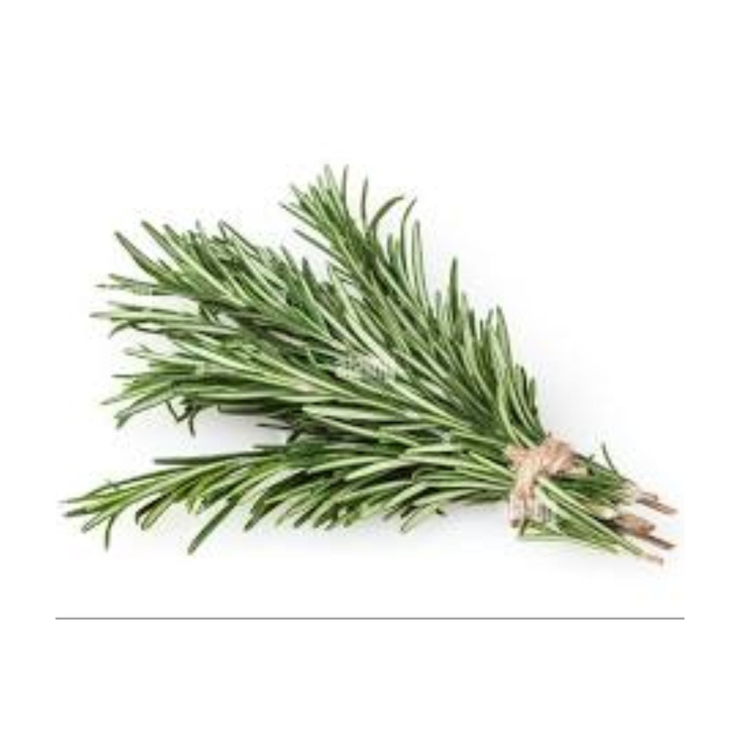 Rosemary Bunch