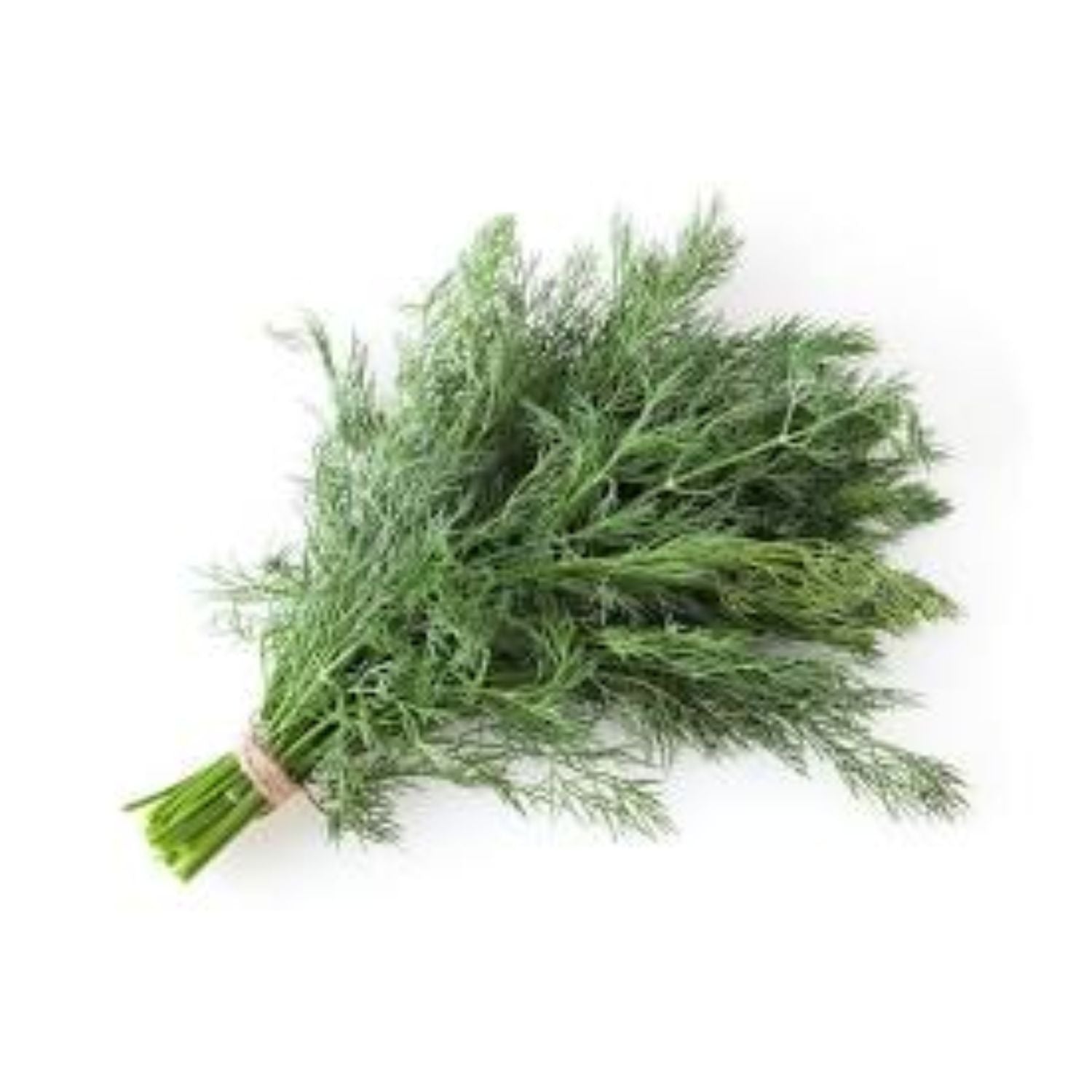 Dill Bunch
