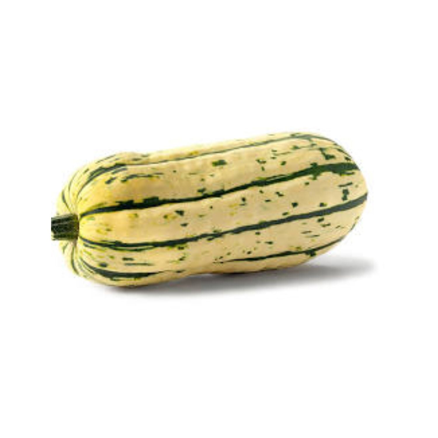 PROMO - Squash Delicata LB