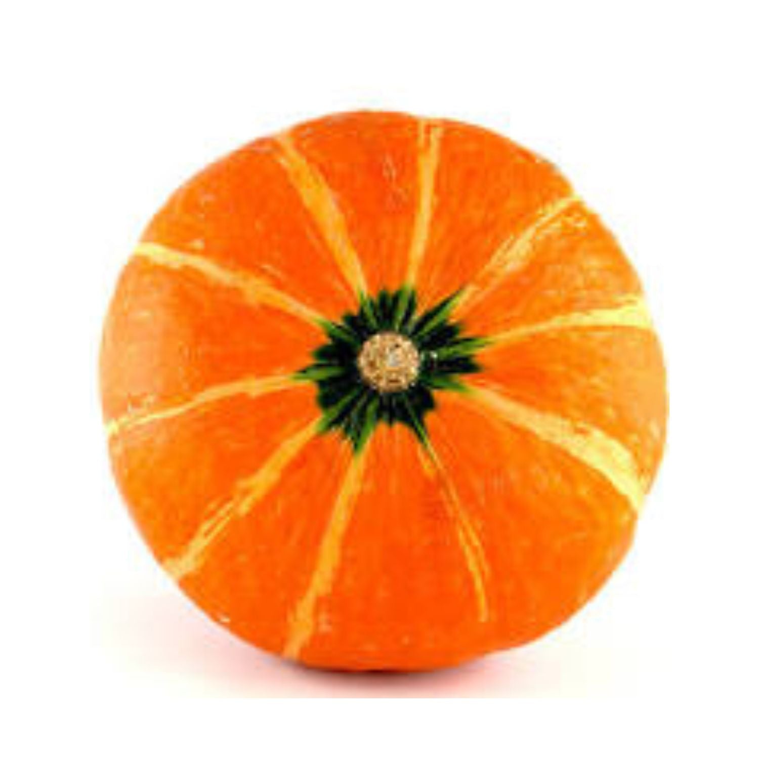 PROMO - Squash kabocha LB
