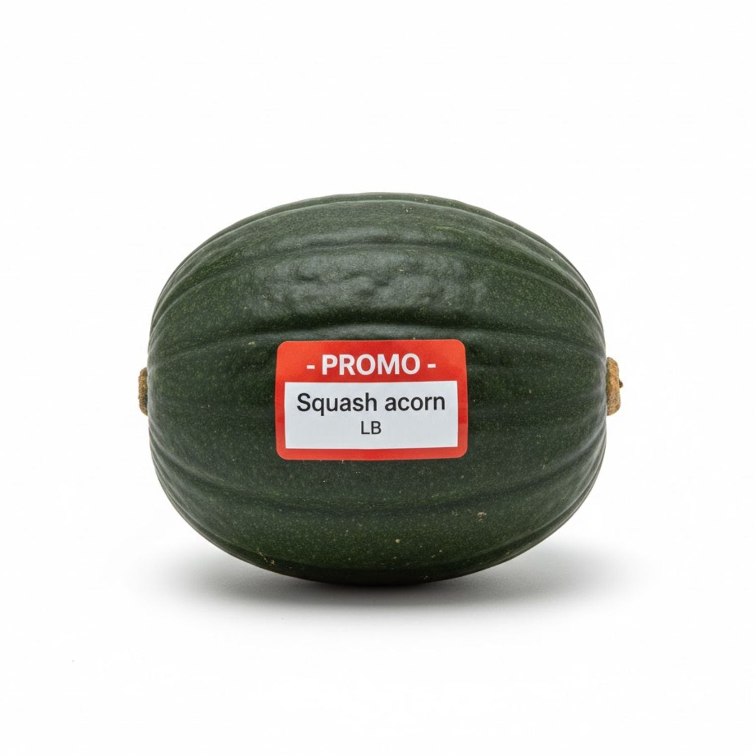 PROMO - Squash acorn LB