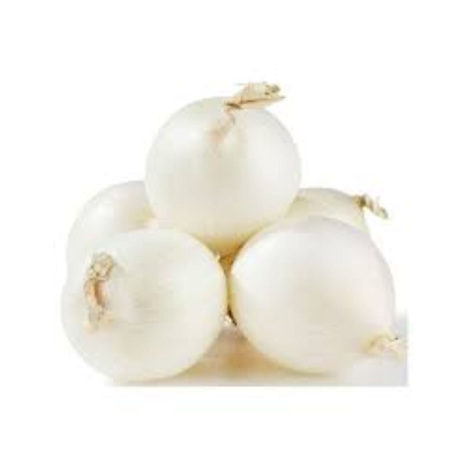 PROMO - Onion white LB