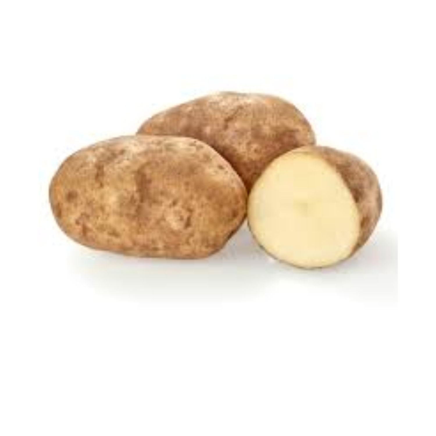 PROMO - Potato Russet 10LB EACH