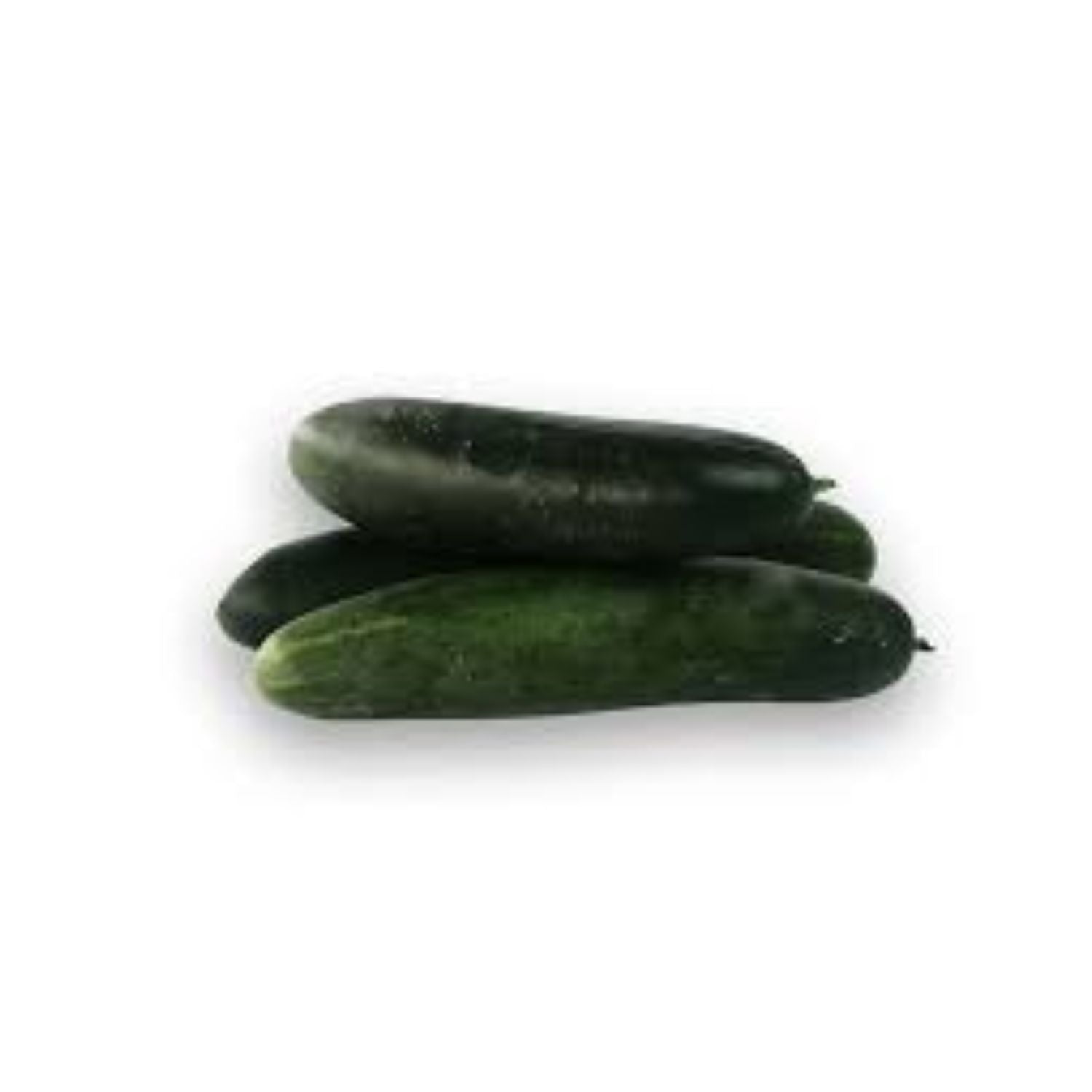 PROMO - Cucumber L.E EACH