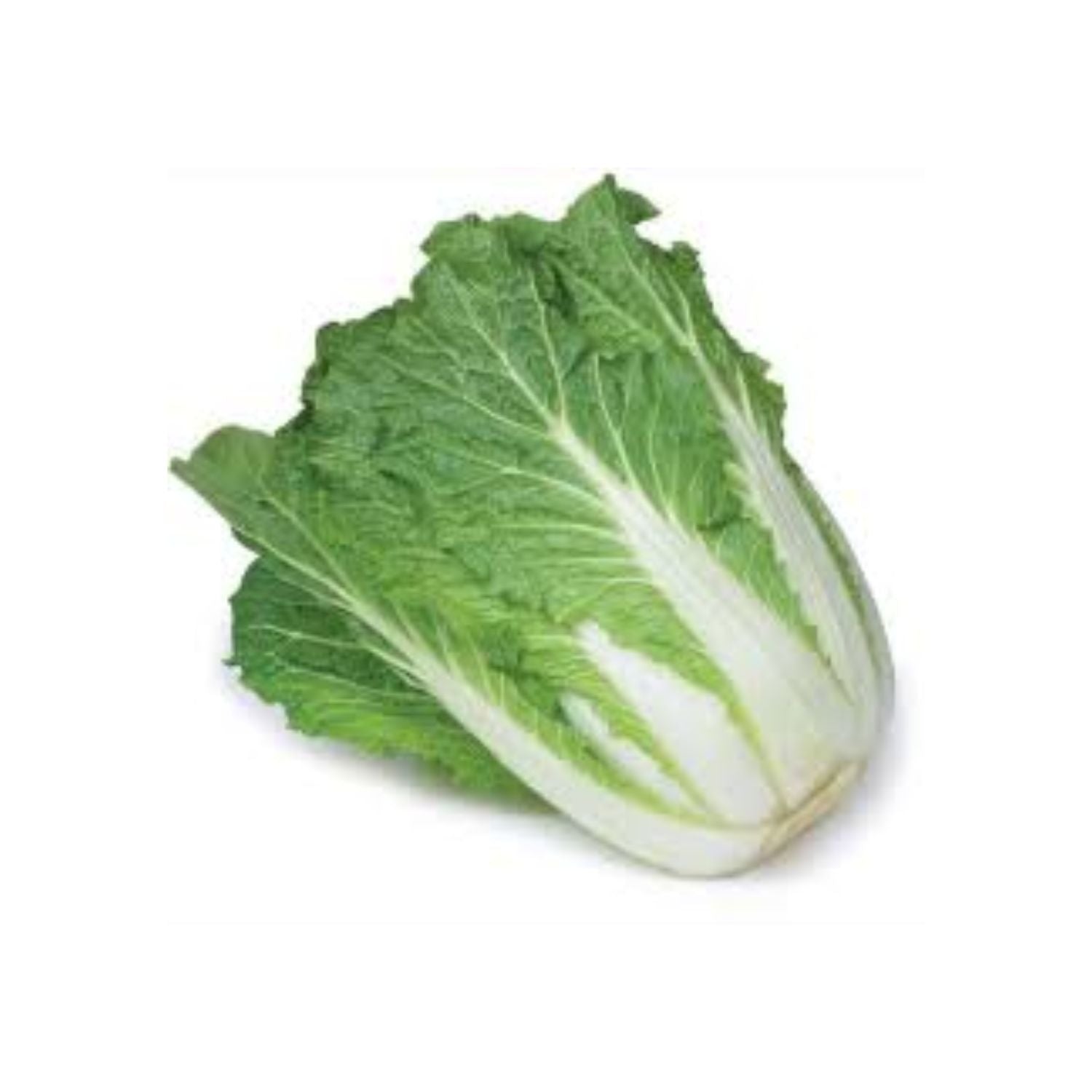 PROMO - Siu Choy LB