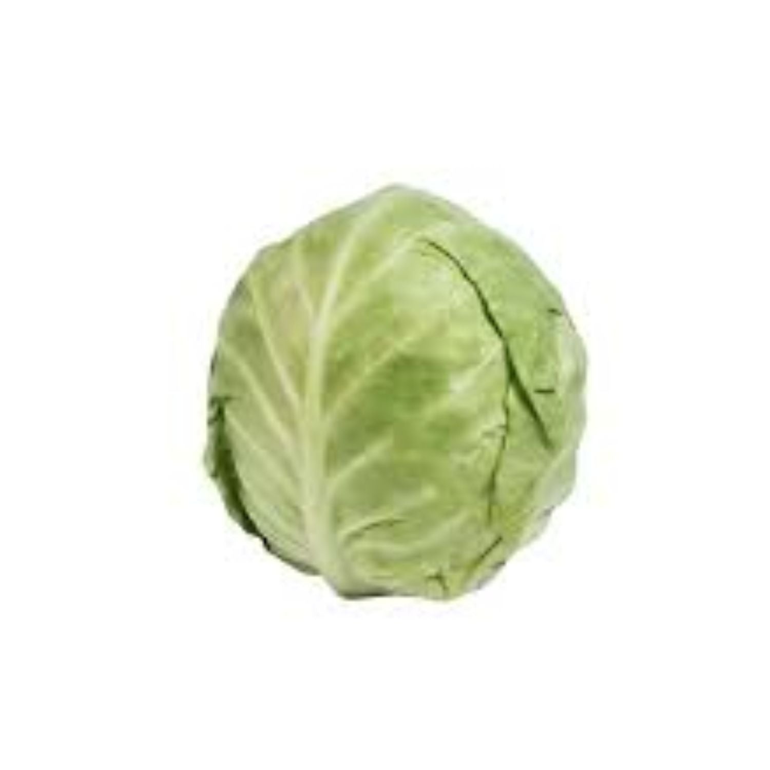 PROMO - Cabbage round LB