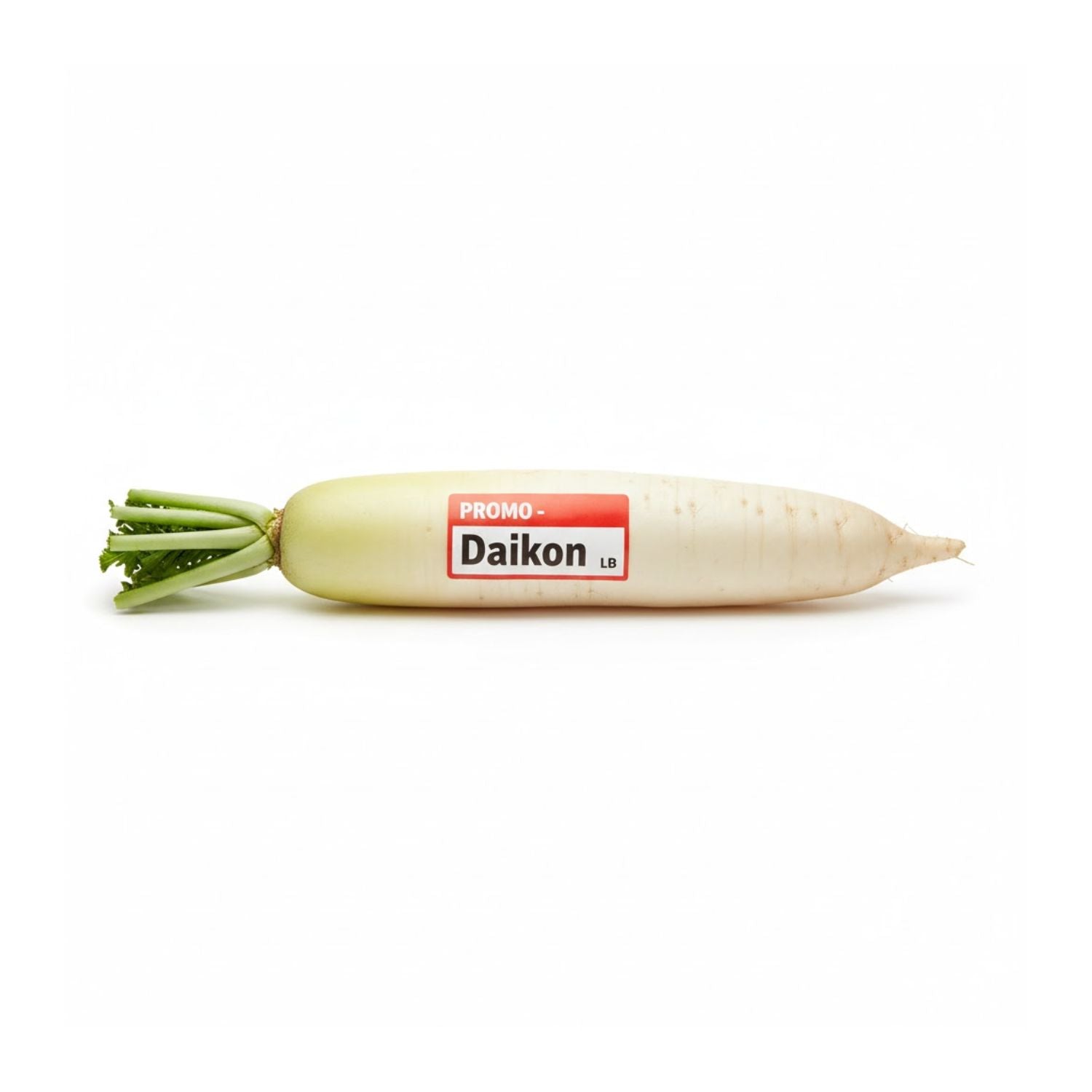 PROMO - Daikon LB