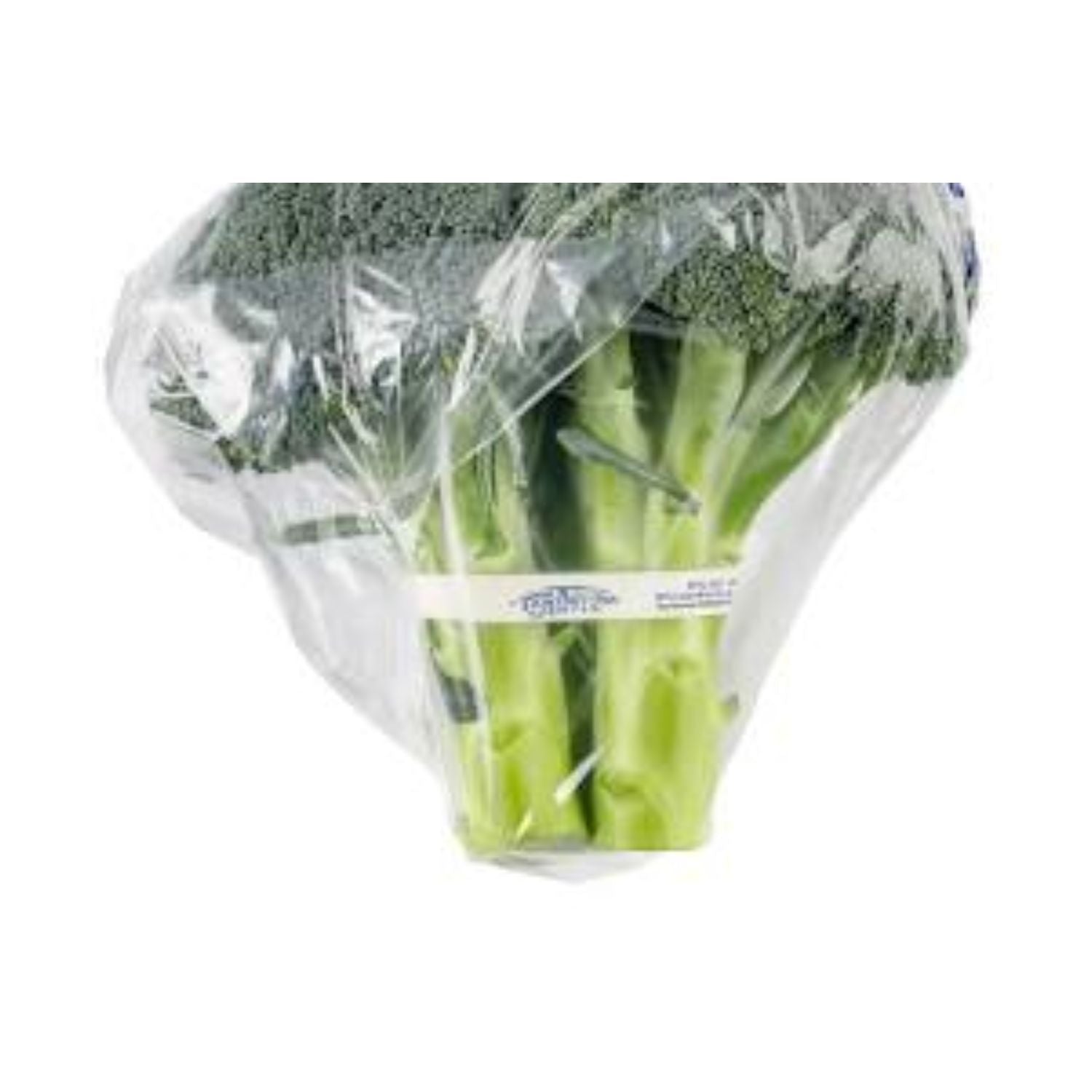 PROMO - Broccoli Bunched EACH