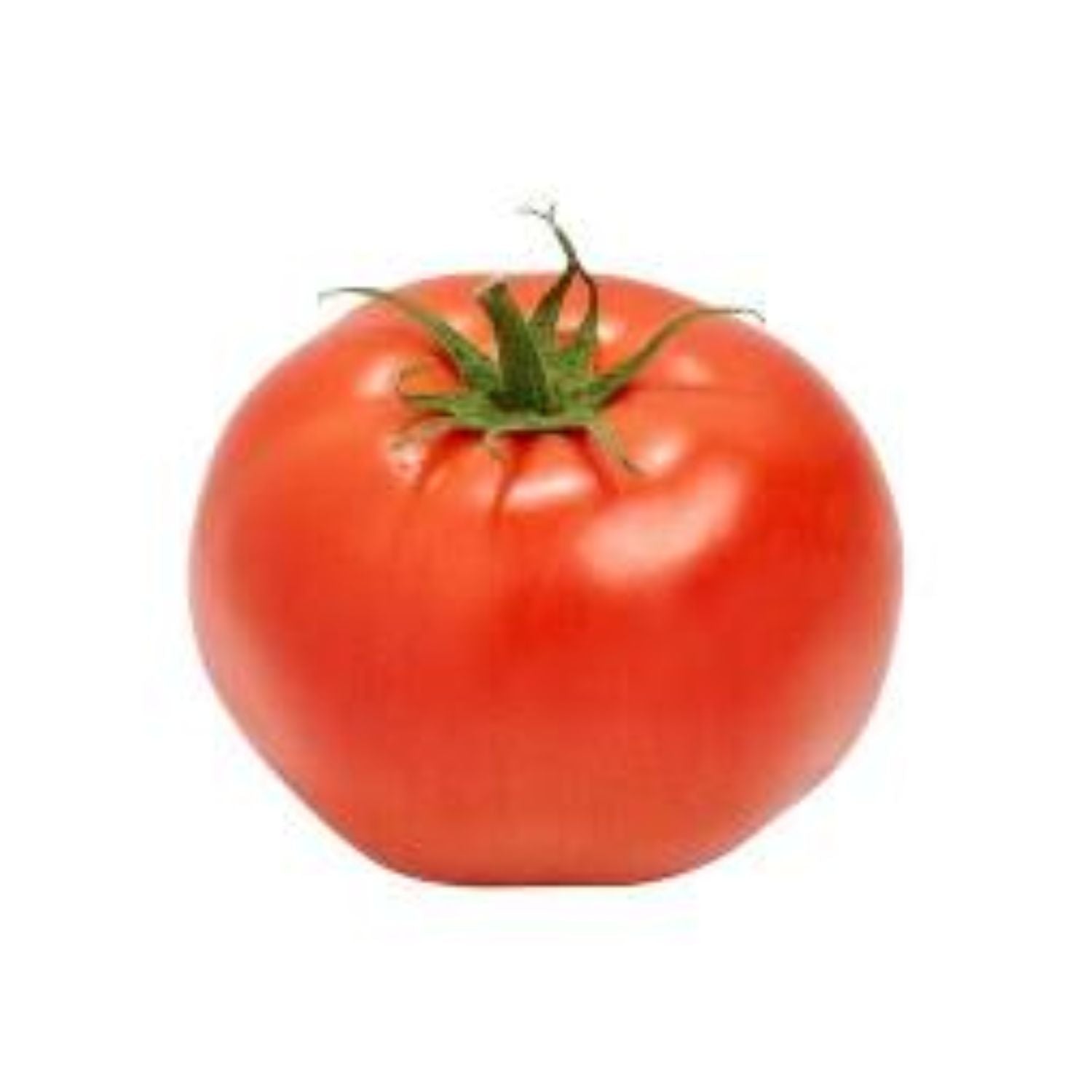 PROMO - Tomato round LB