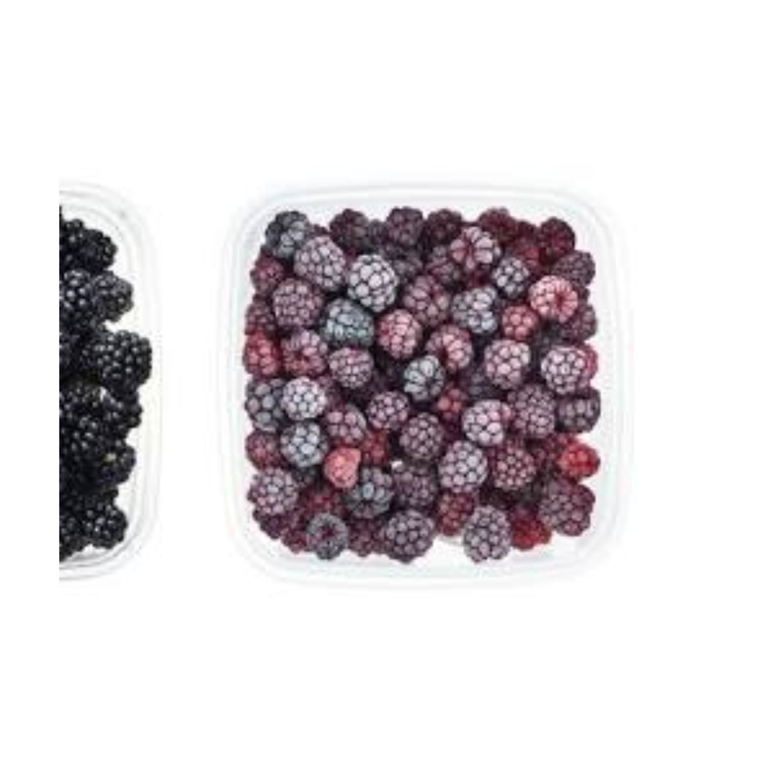 PROMO - Blackberry 10oz EACH