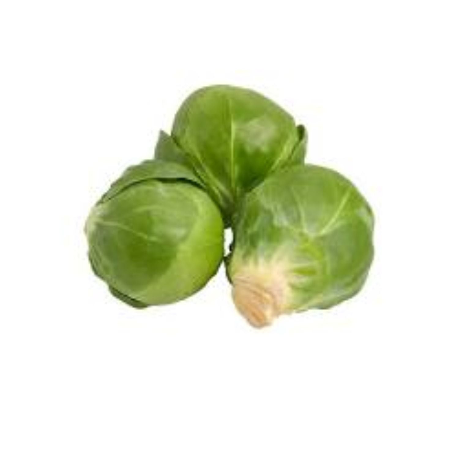 PROMO - Brussel sprouts LB