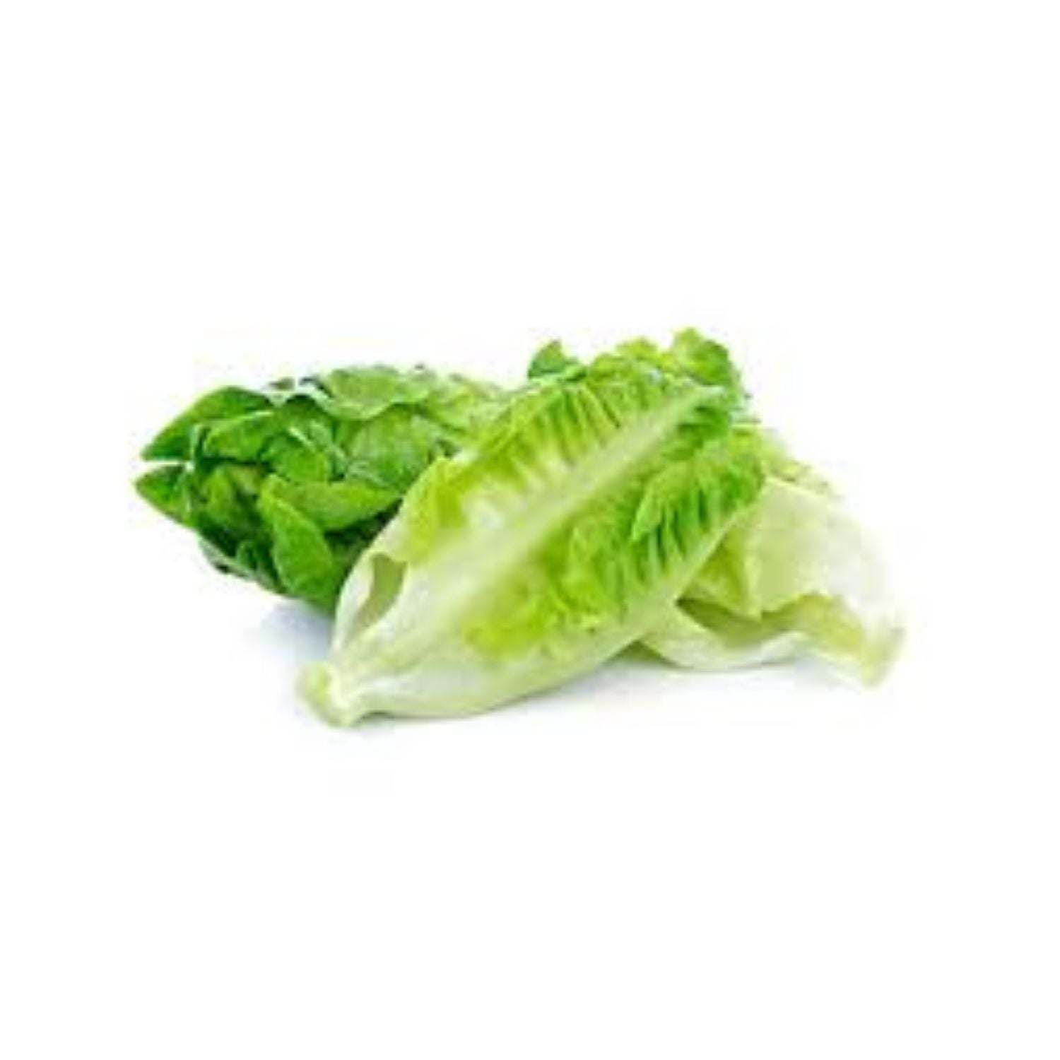 PROMO - Lettuce romaine heart 3CT EACH