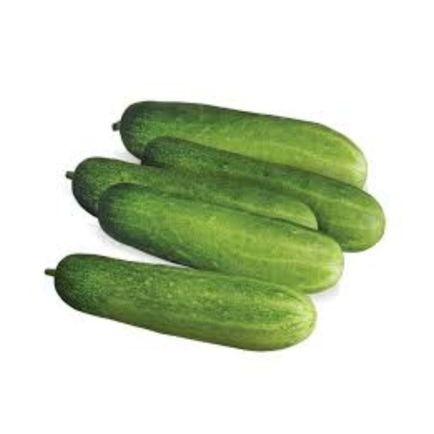 PROMO - Cucumber field EACH