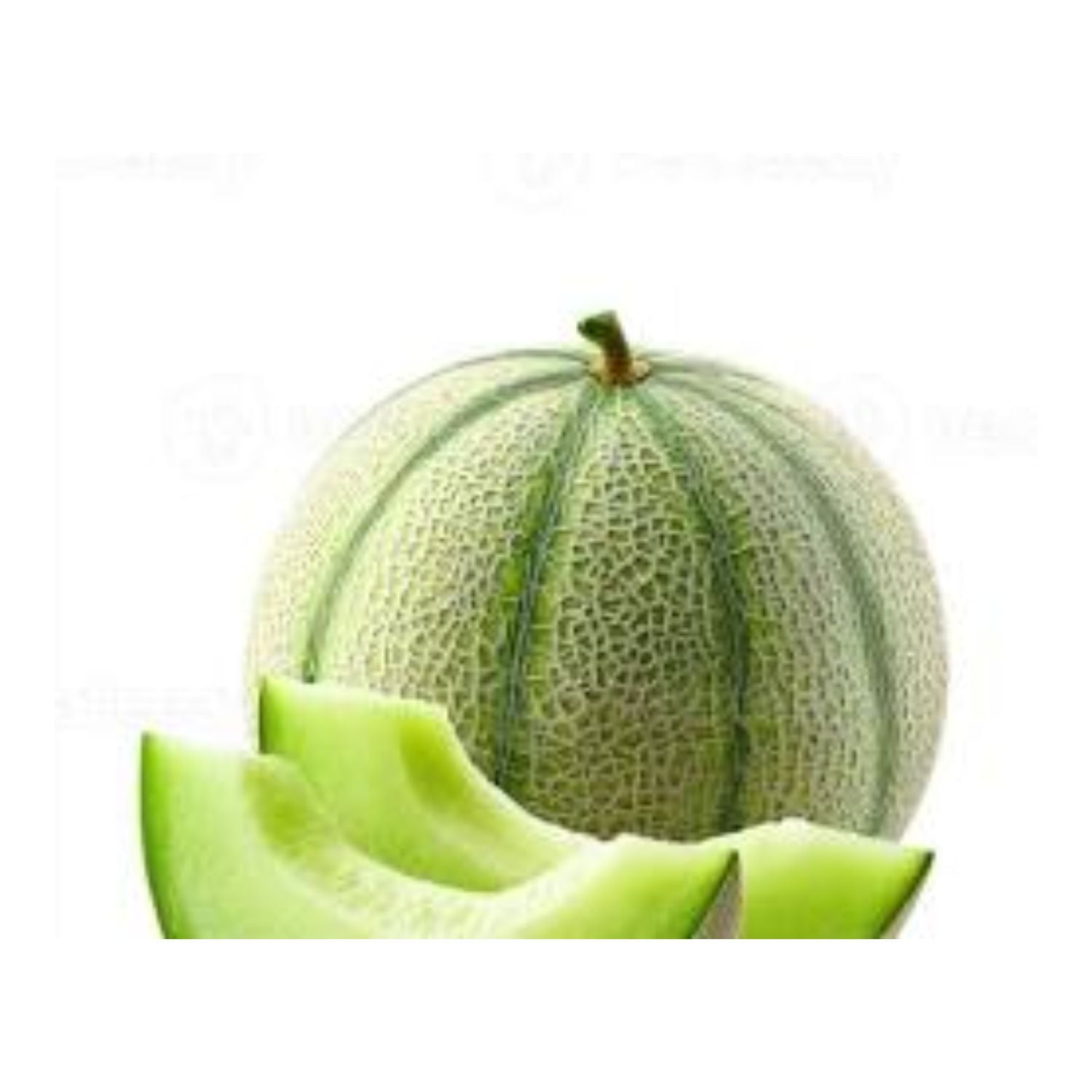 Cantaloupe