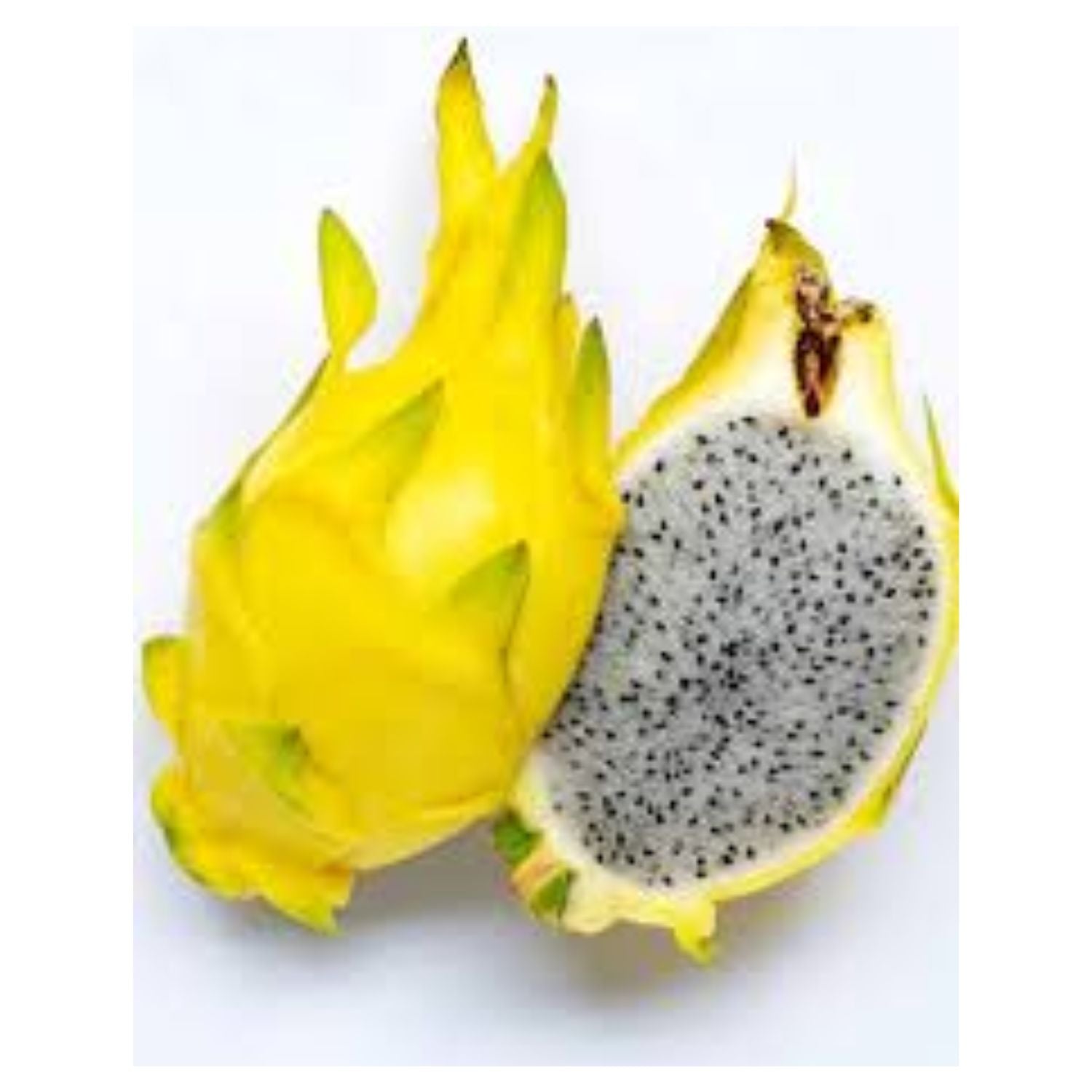 Dragronfruit Yellow