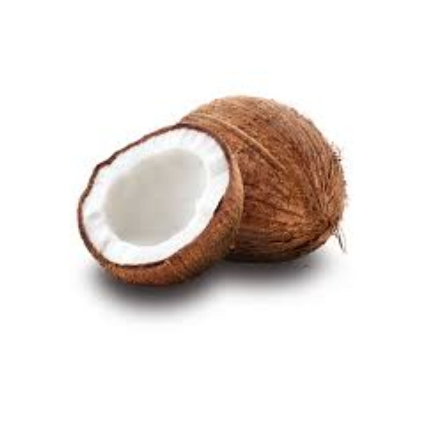 Coconut