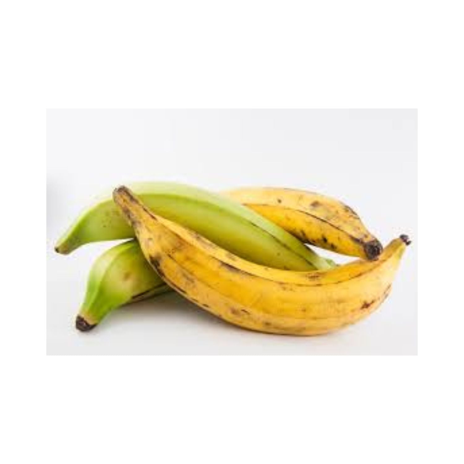 Plantain