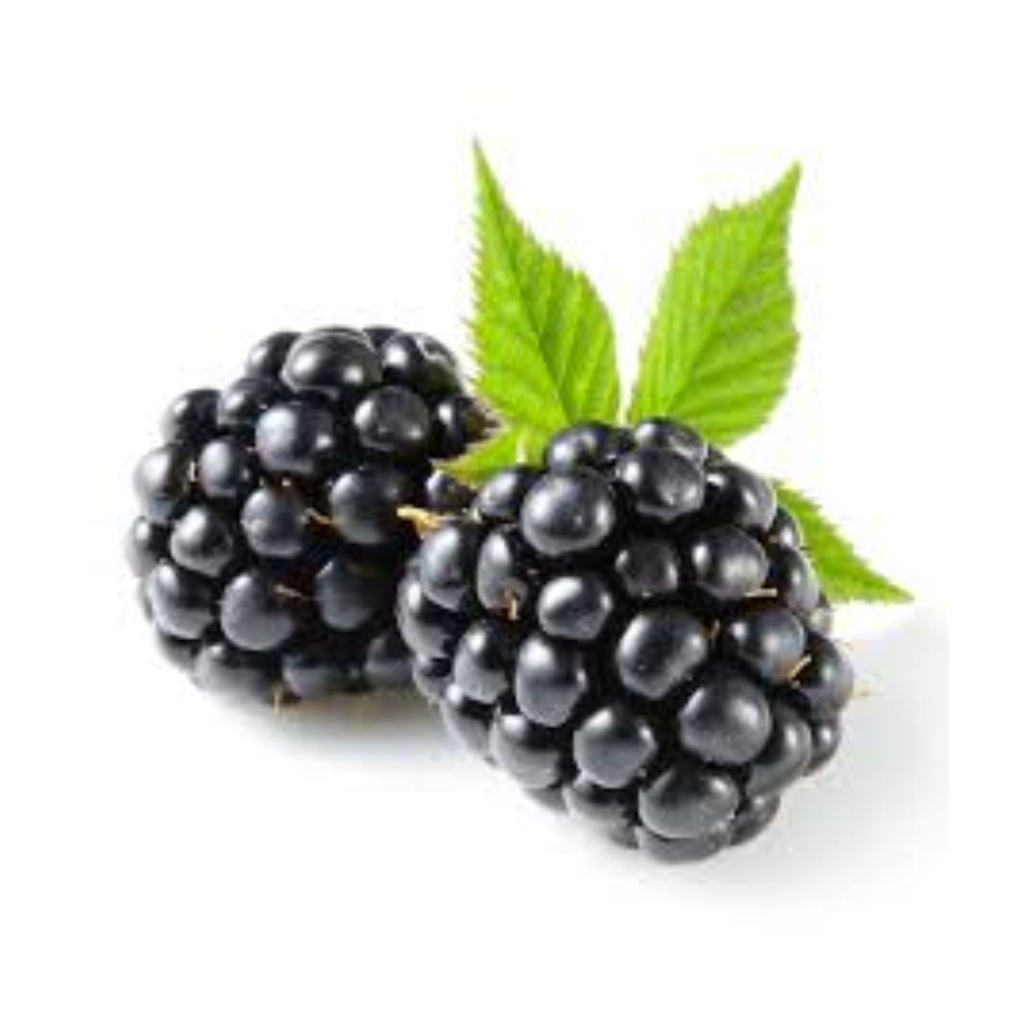 Blackberry