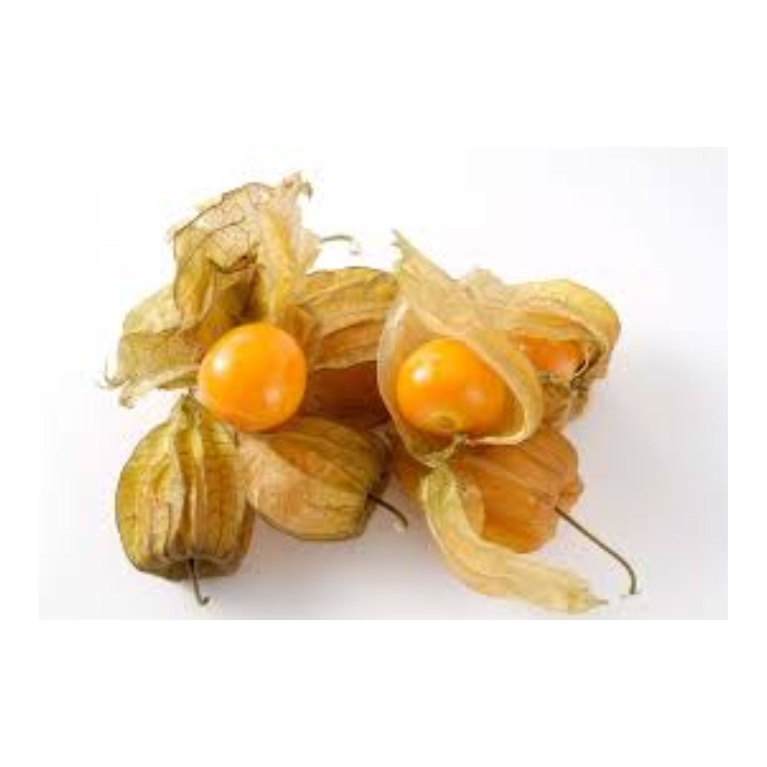 Gooseberry