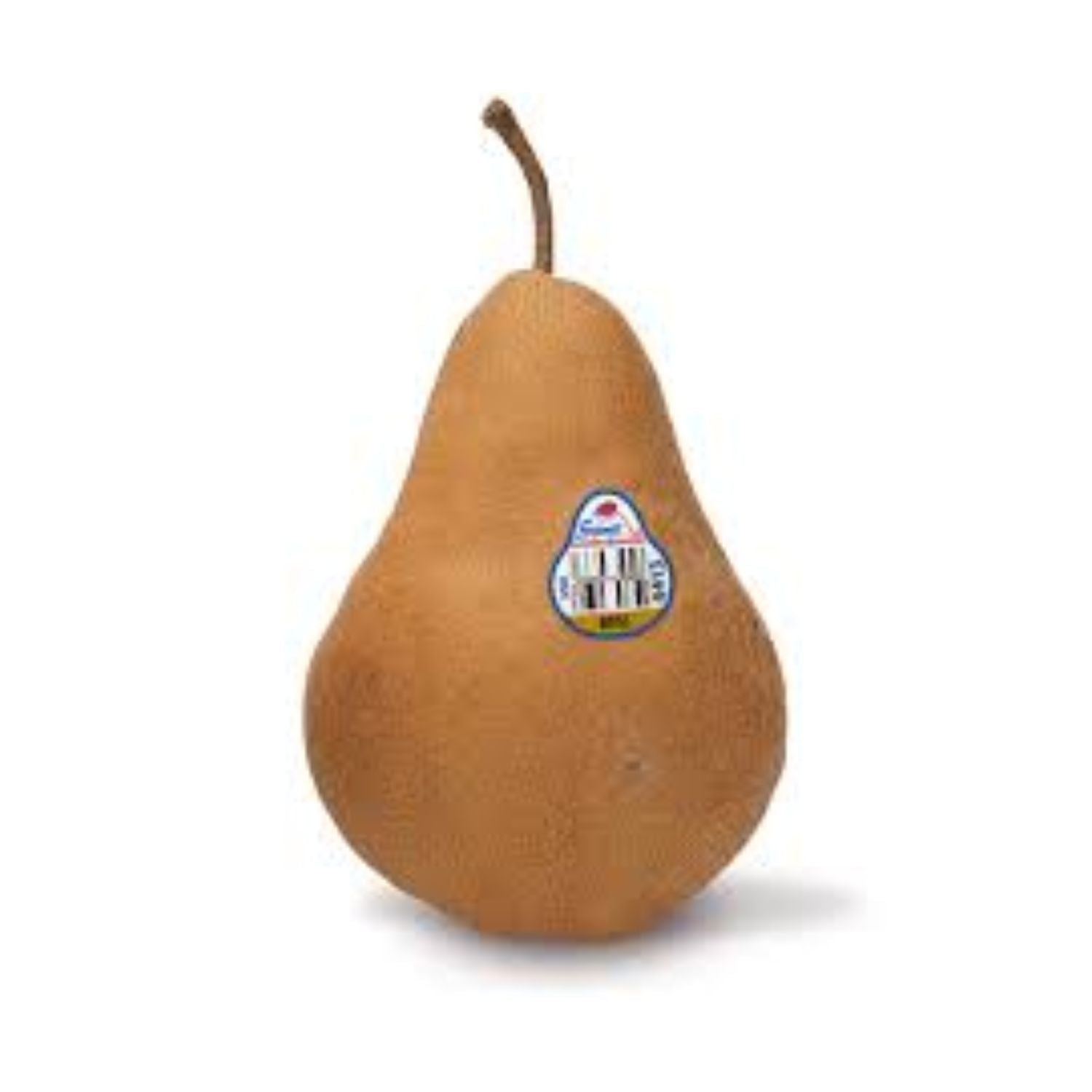 Pear Bosc