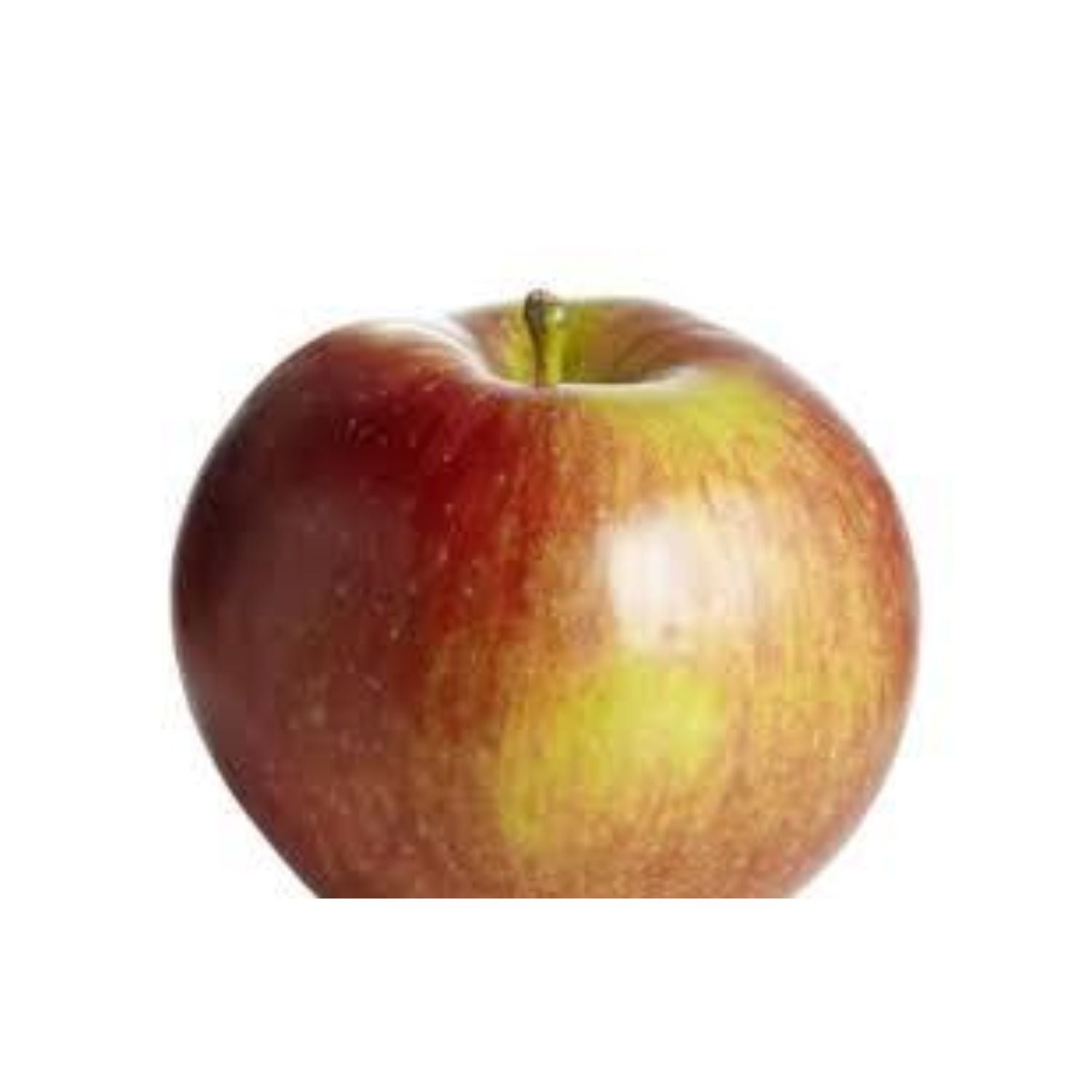 Apple Spartan