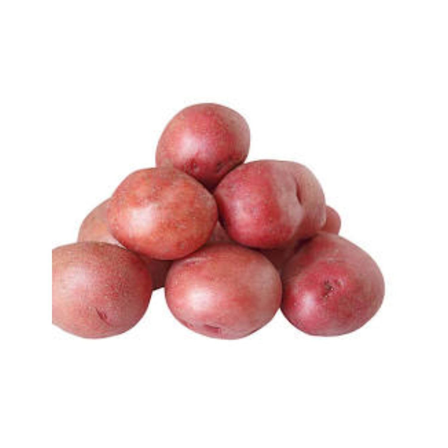 Potato Little Red