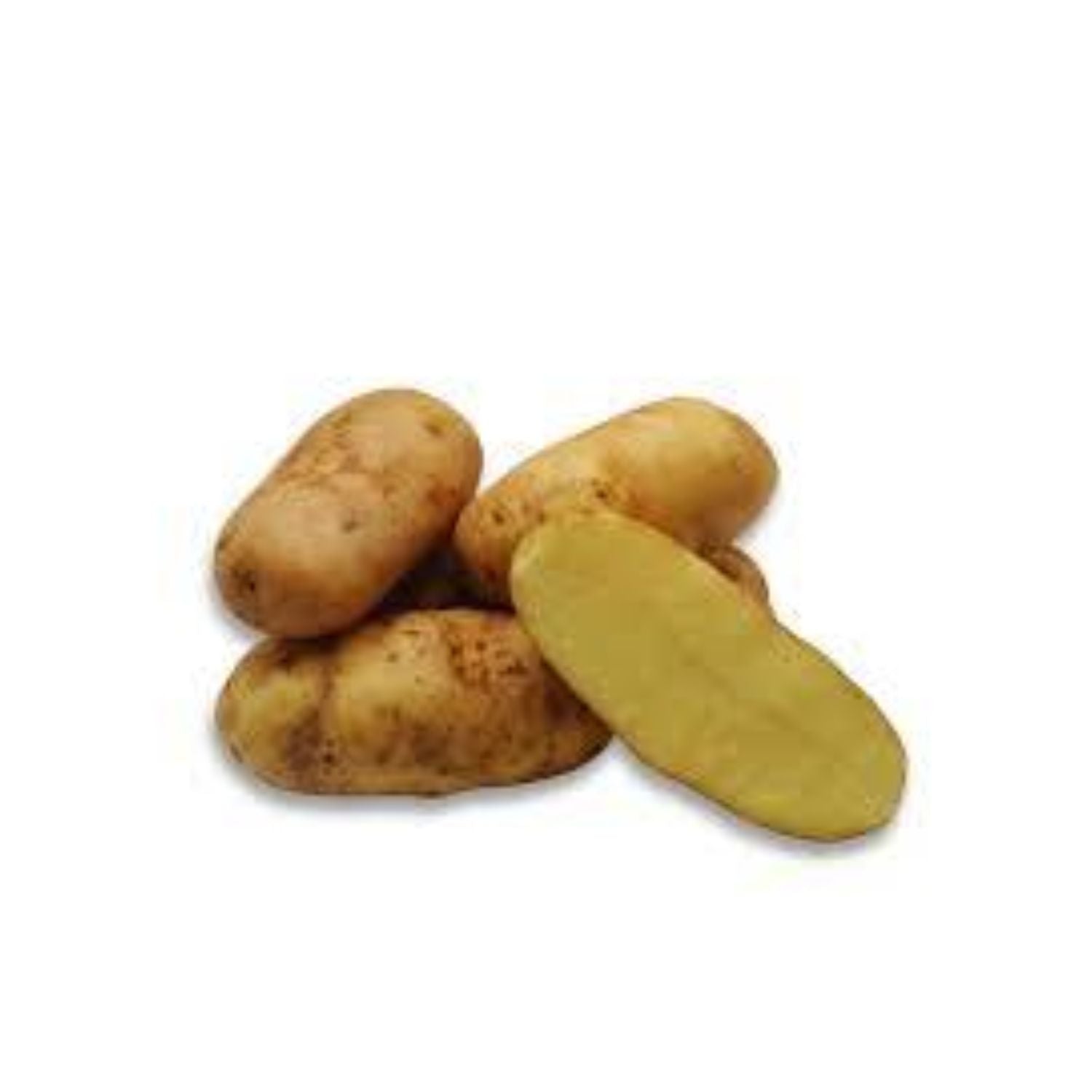 Potato Little Yellow