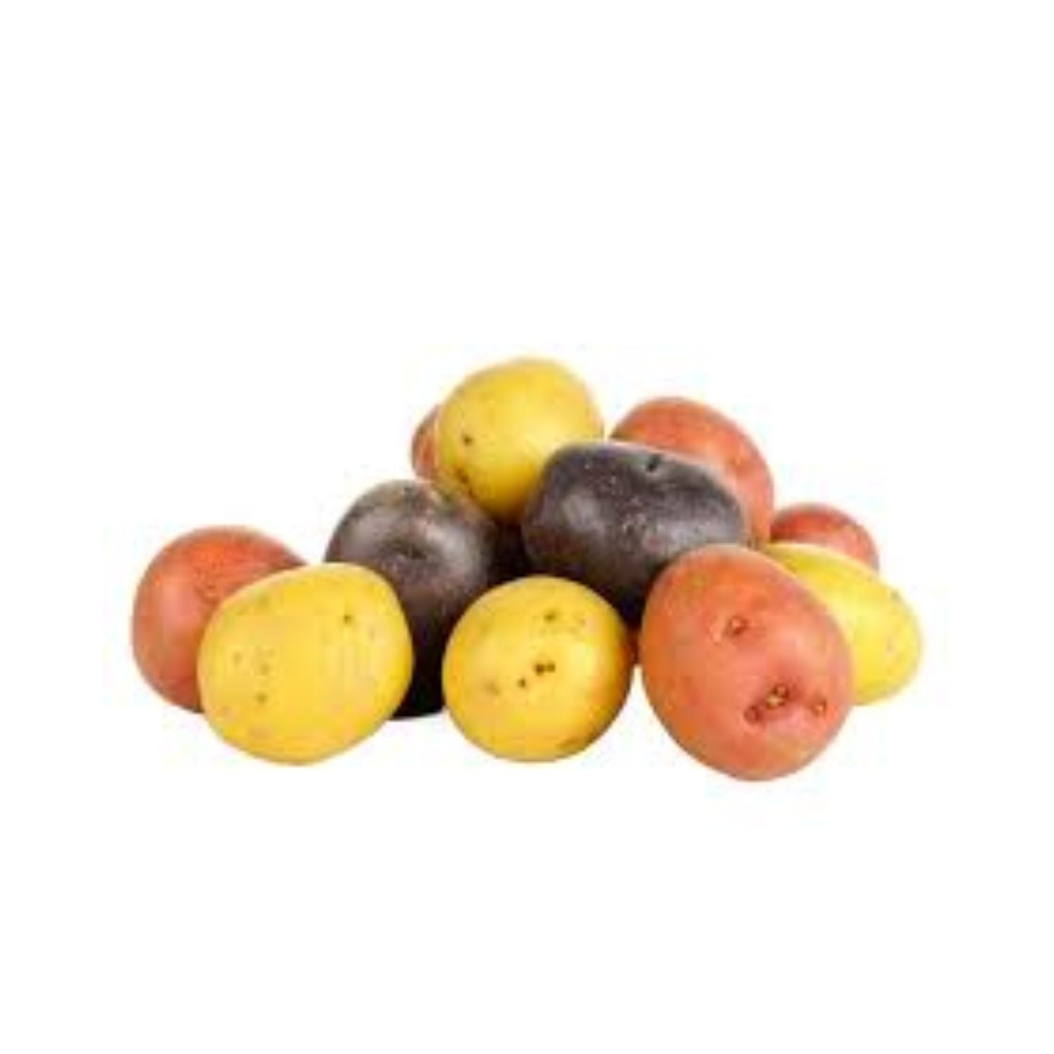 Potato Little Trio