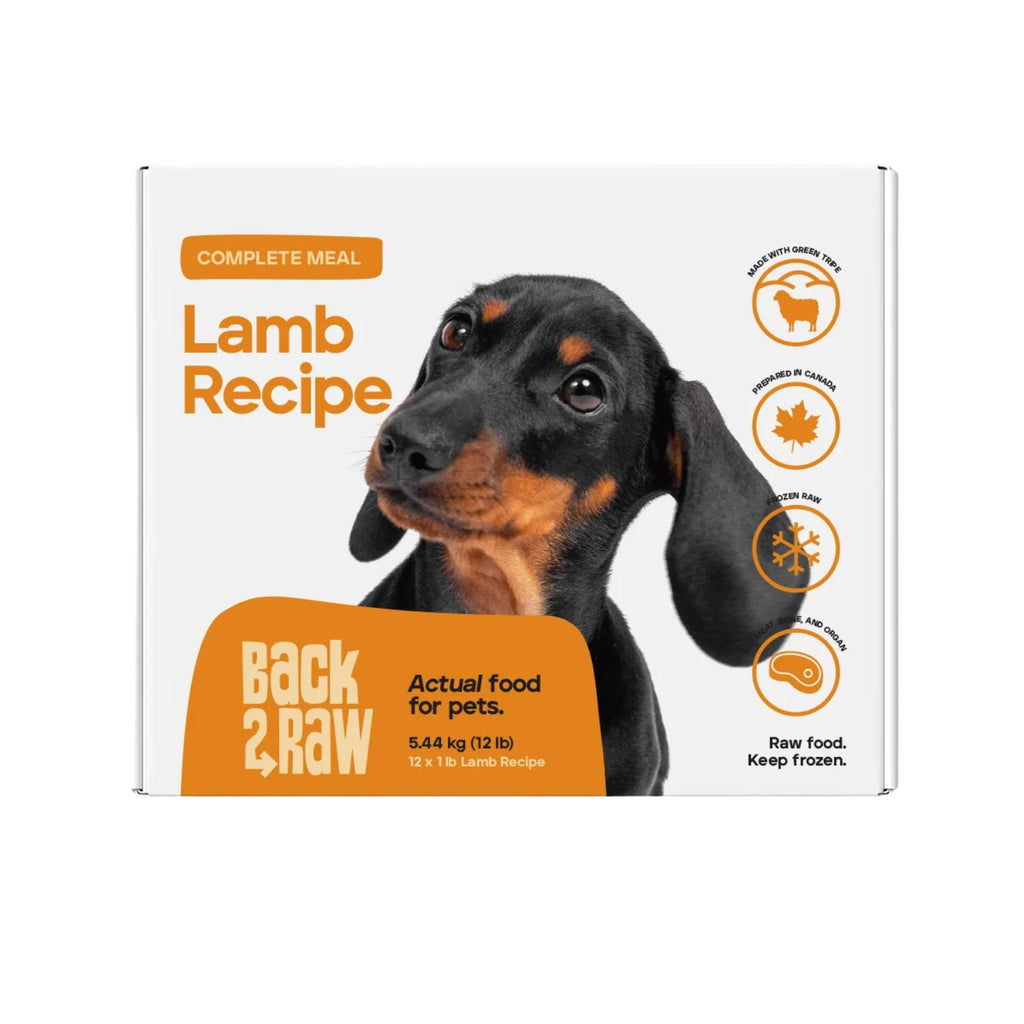 Back2Raw Dog Complete Lamb 12/1lb