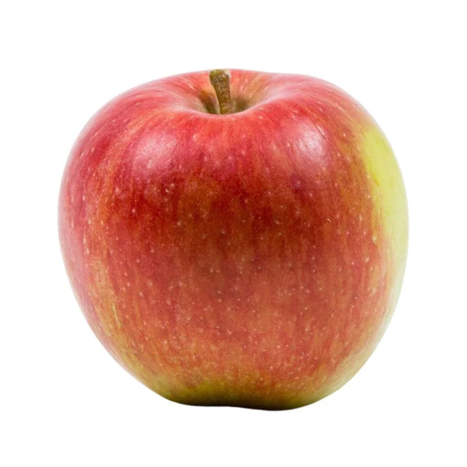 CASELOT - Apple Braeburn 24LB