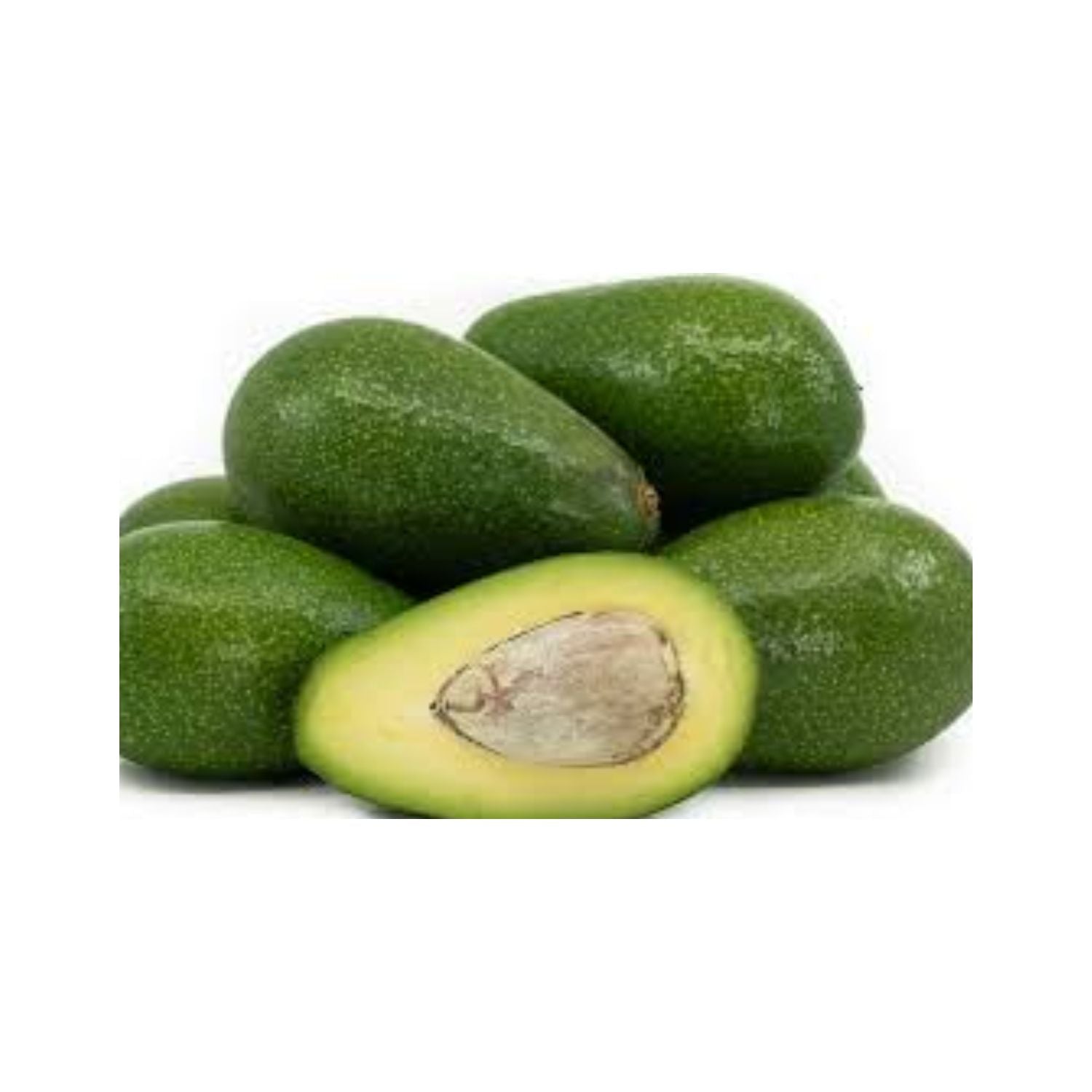 CASELOT - Avocado 48ct