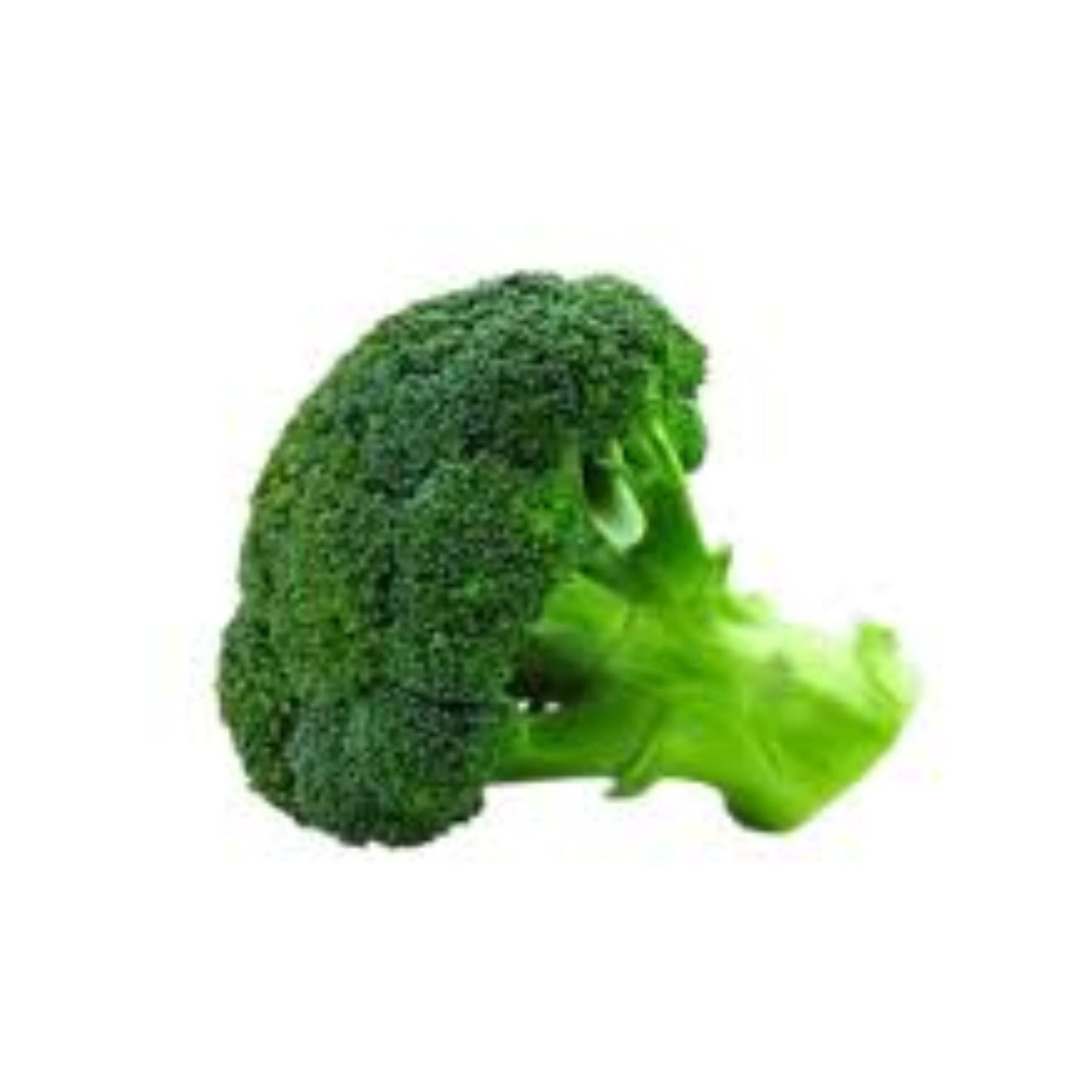 CASELOT - Broccoli Bunched 20LB