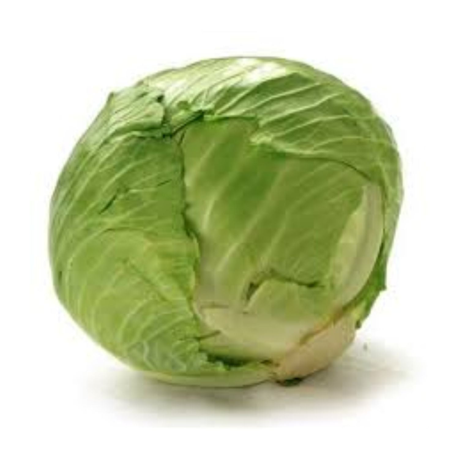 CASELOT - Cabbage Flat 50lb