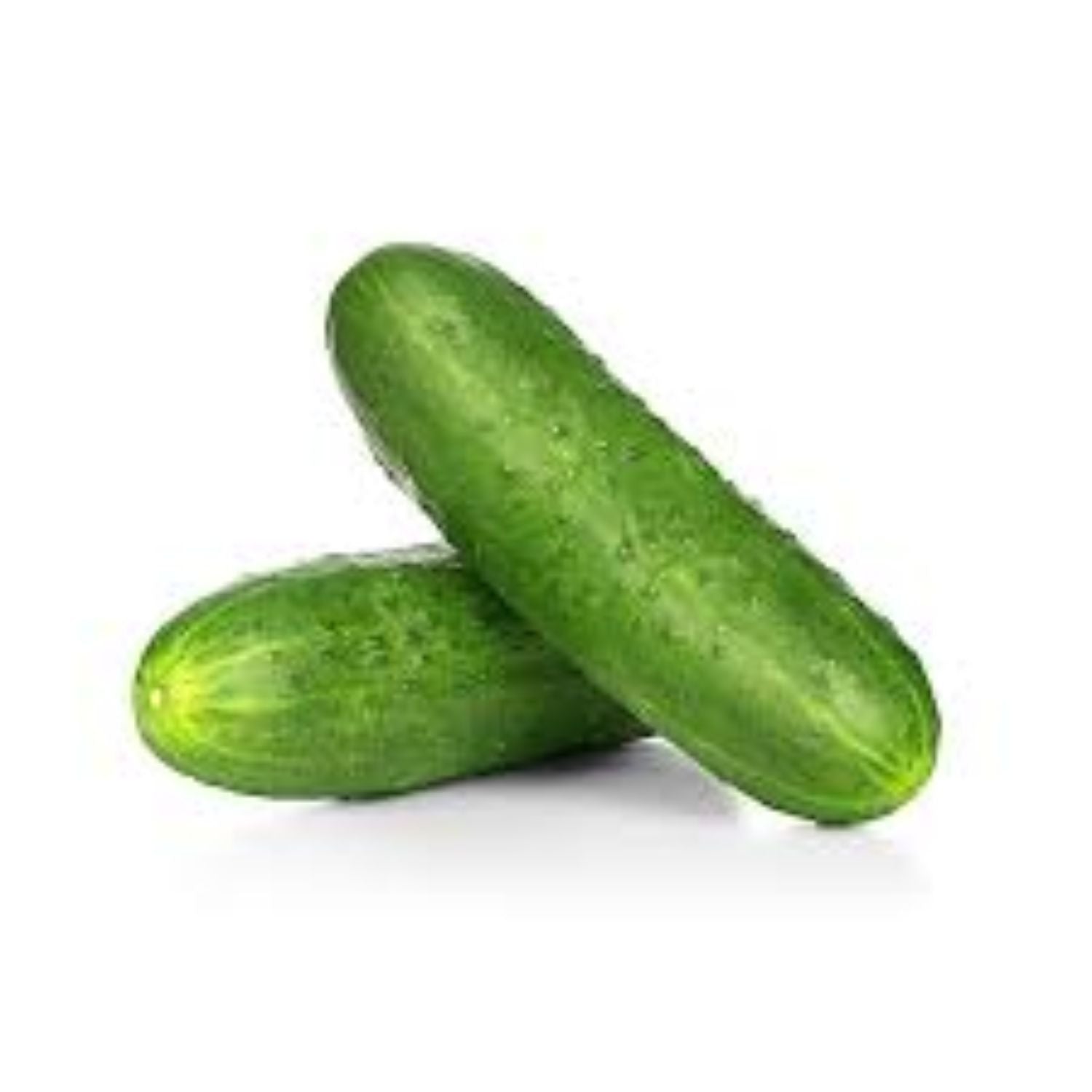 CASELOT - Cucumber 40LB