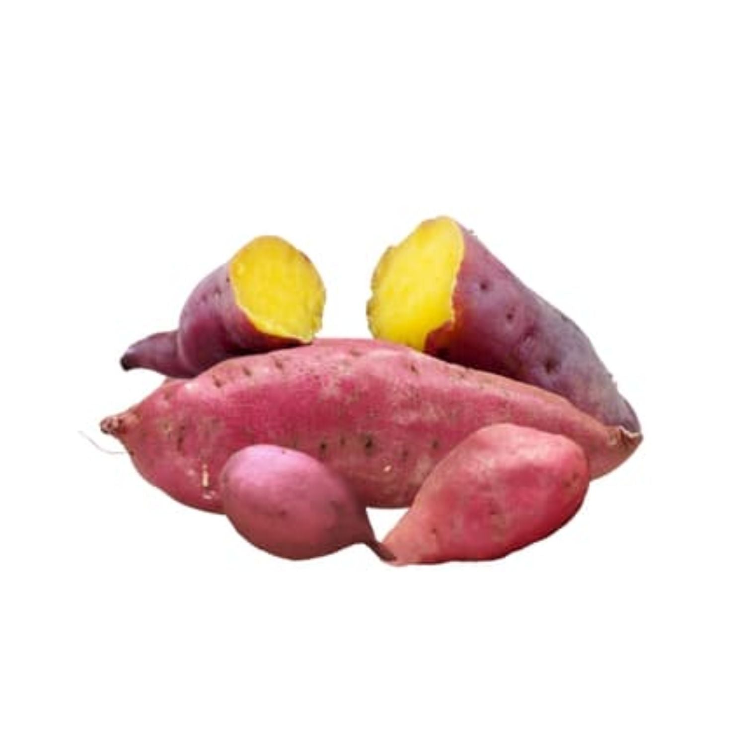 CASELOT - Japanese Sweet Potato