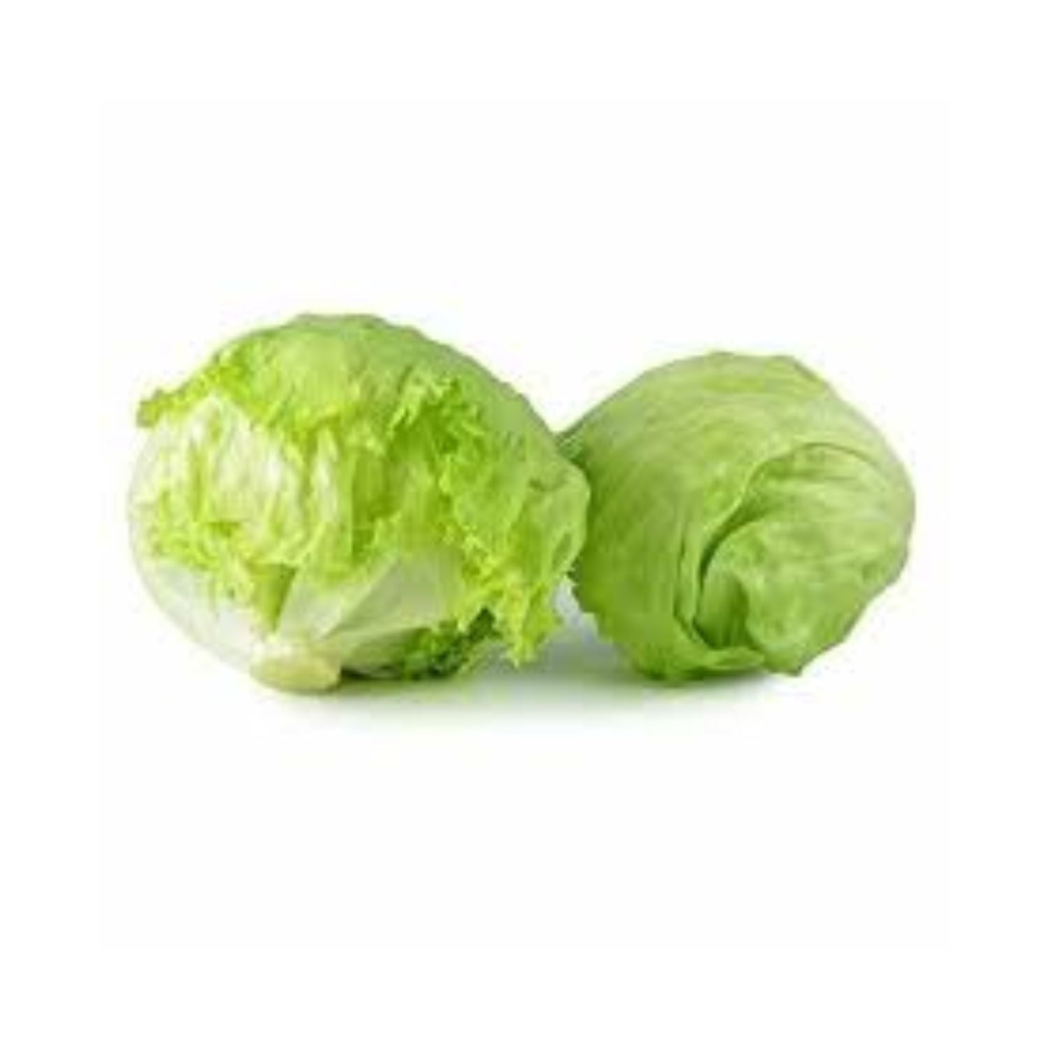 CASELOT - Lettuce Iceberg 24ct