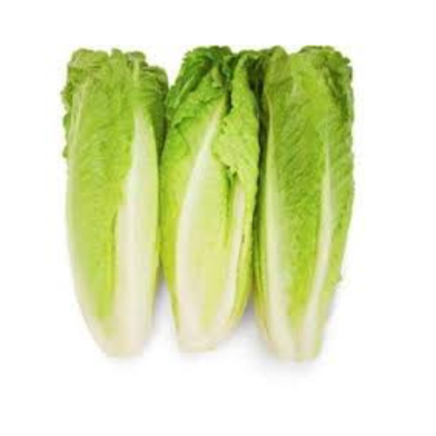 CASELOT - Lettuce romaine heart 12ct